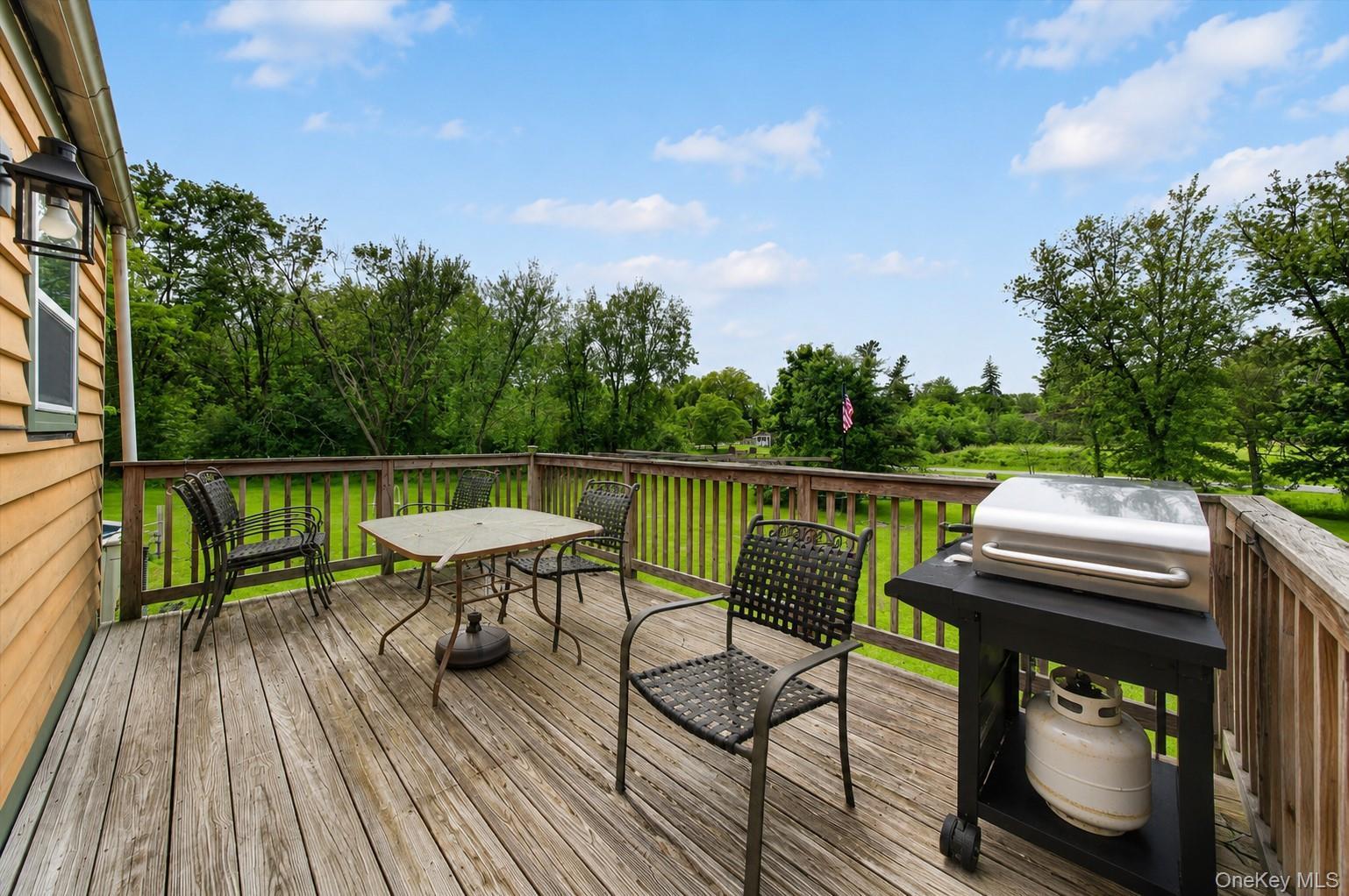 Single Family Mohin Park Orange County, NY 10958, MLS-1007636-14