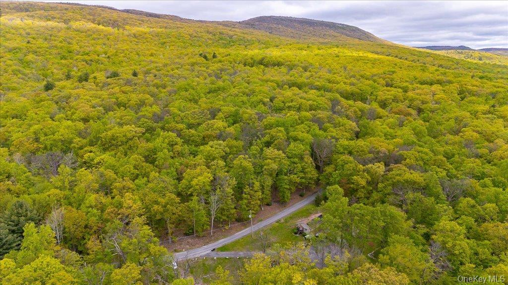 Single Family Jones Road Ulster County, NY 12566, MLS-1007640-36