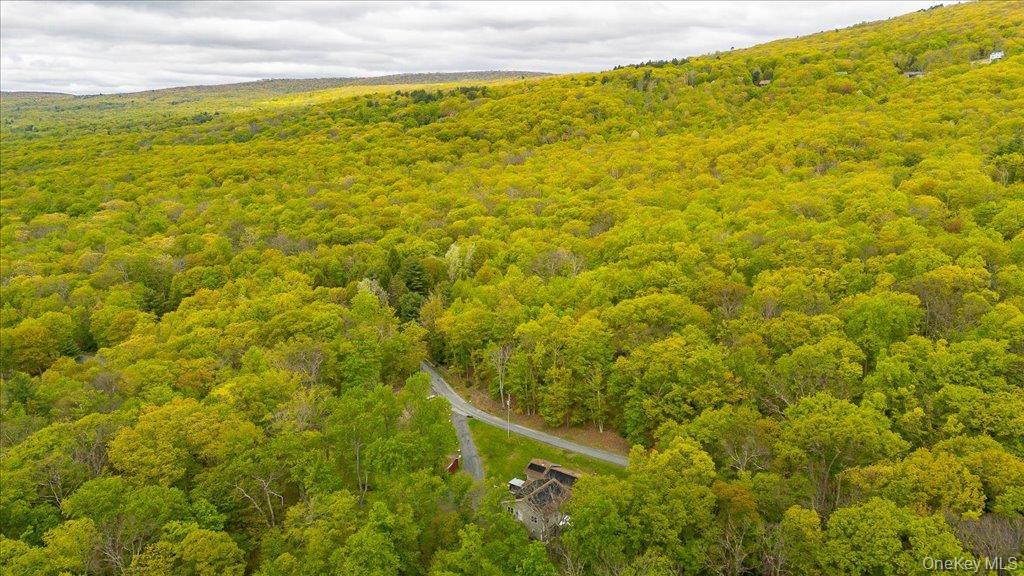 Single Family Jones Road Ulster County, NY 12566, MLS-1007640-38