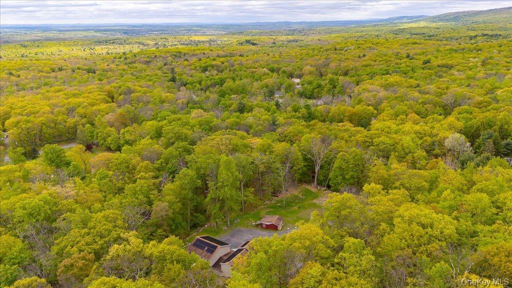 Single Family Jones Road Ulster County, NY 12566, MLS-1007640-39