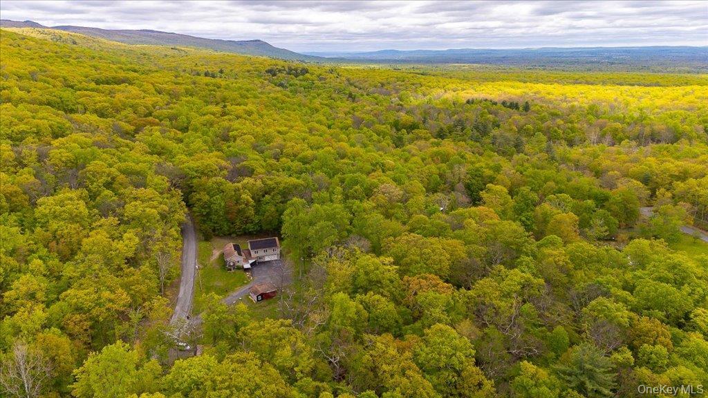 Single Family Jones Road Ulster County, NY 12566, MLS-1007640-41