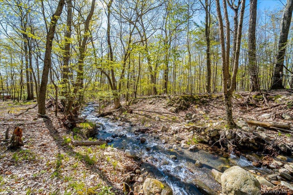 Single Family Jones Road Ulster County, NY 12566, MLS-1007640-7