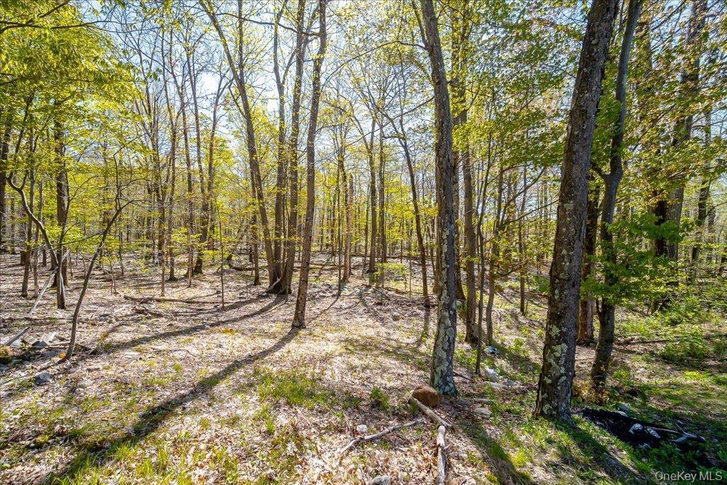 Single Family Jones Road Ulster County, NY 12566, MLS-1007640-8