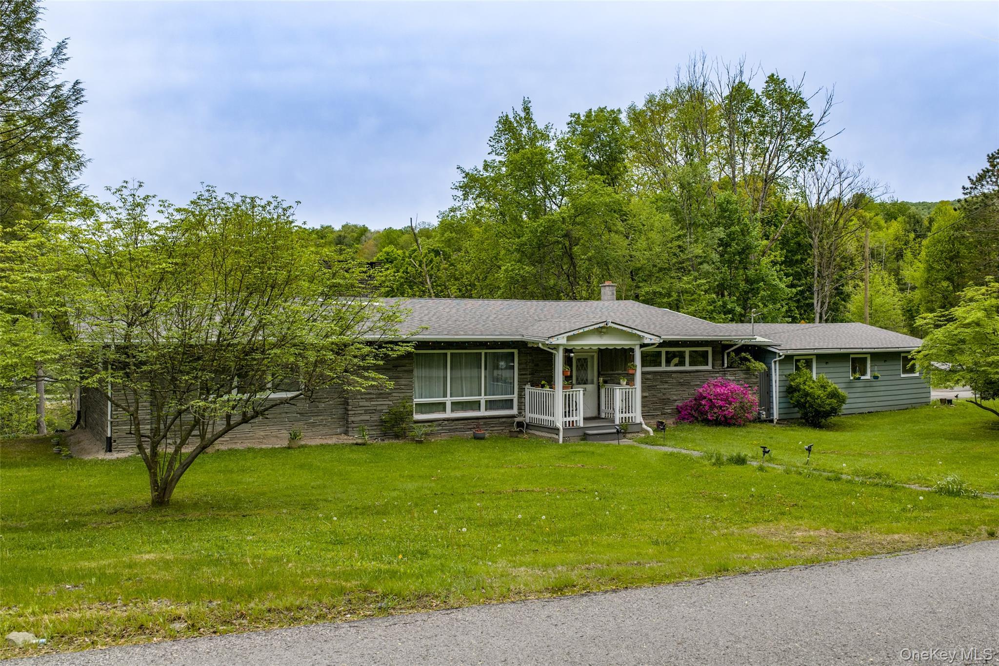 Single Family Pennsylvania Avenue Delaware County, NY 13783, MLS-1007711-2