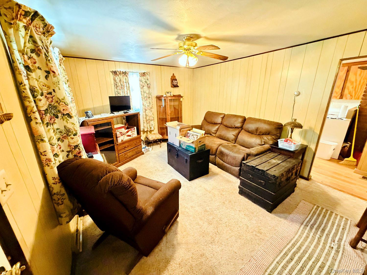 Single Family Hankins Sullivan County, NY 12741, MLS-1007763-13