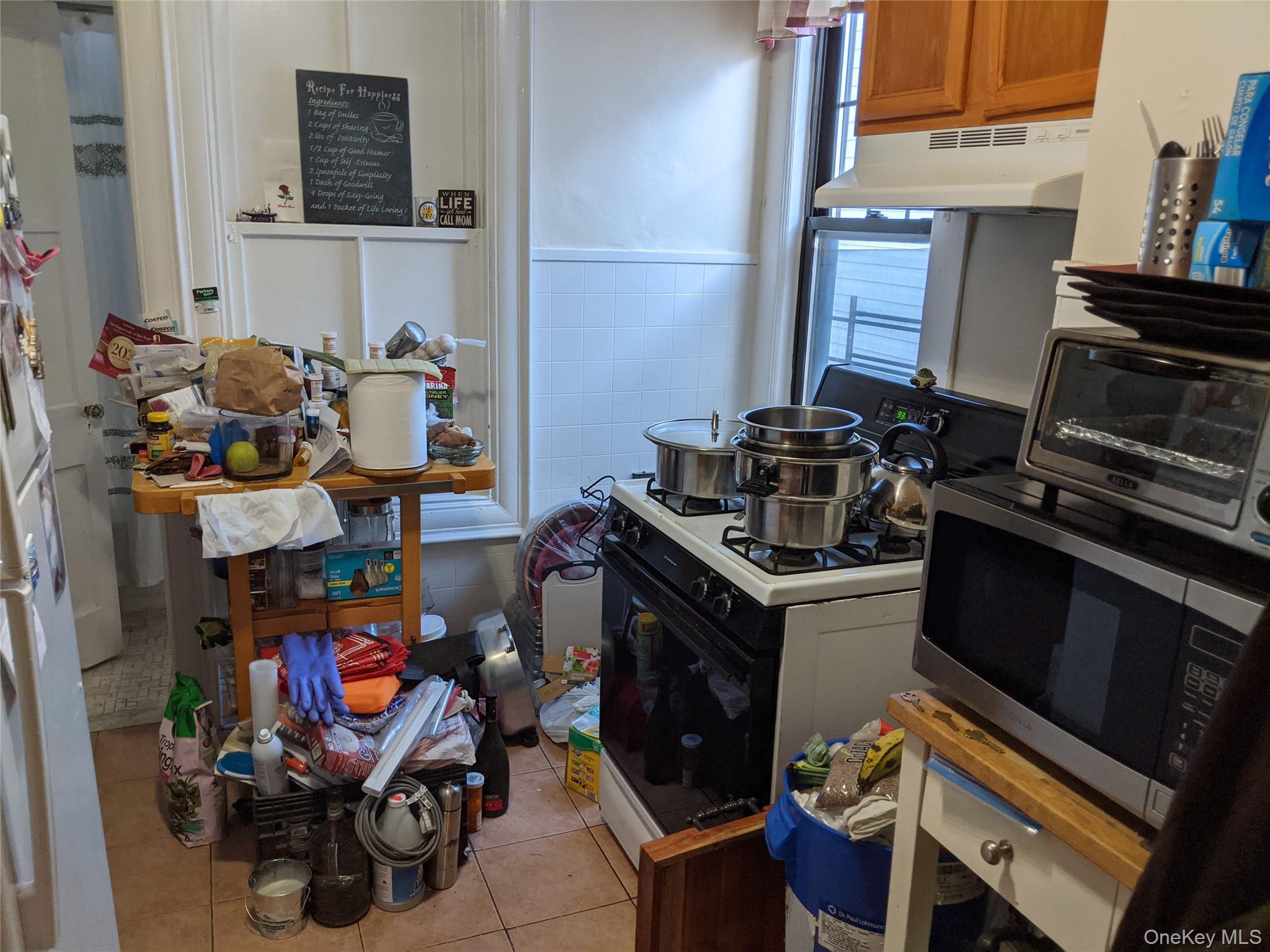 Single Family Mckinley  Brooklyn, NY 11208, MLS-1007834-14