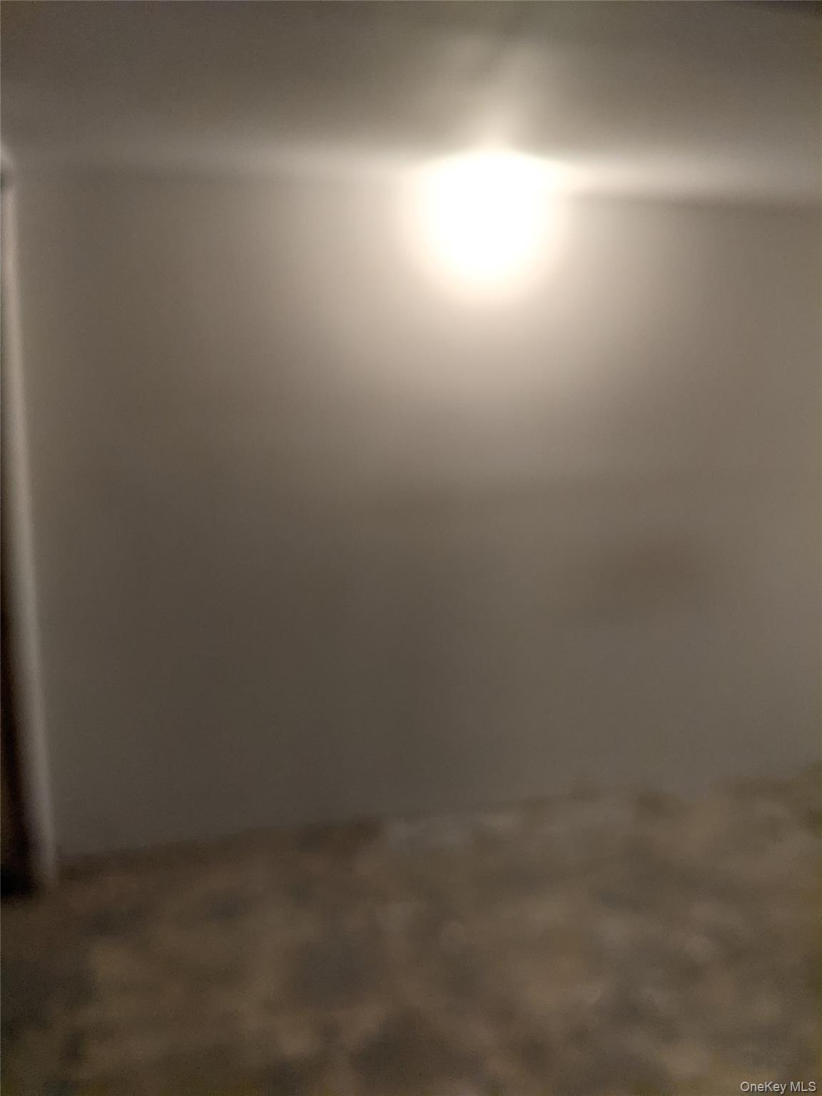 Single Family Mckinley  Brooklyn, NY 11208, MLS-1007834-18