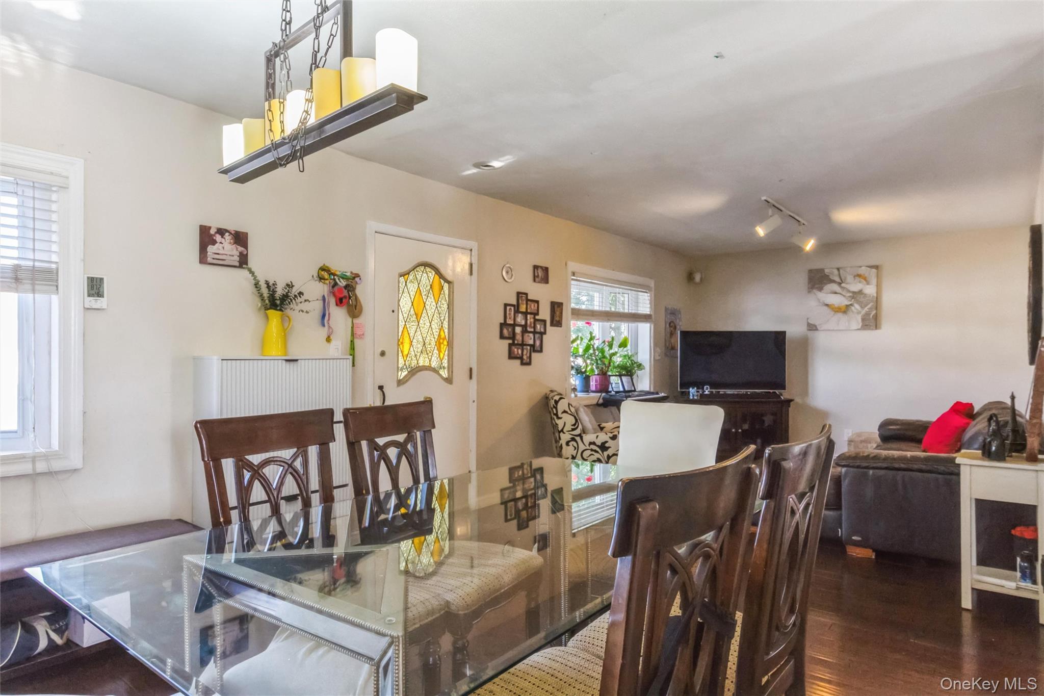 Single Family Grant Drive E Nassau County, NY 11580, MLS-1007883-10
