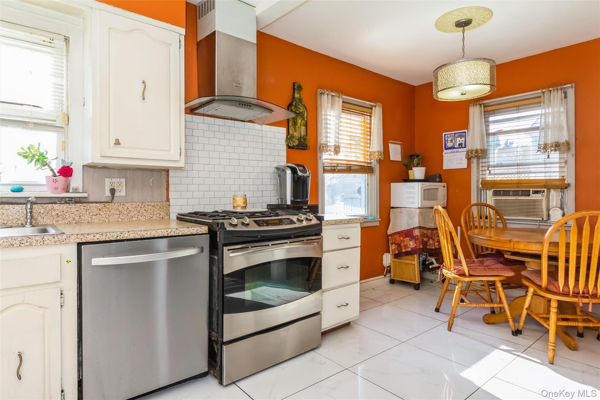 Single Family Grant Drive E Nassau County, NY 11580, MLS-1007883-11