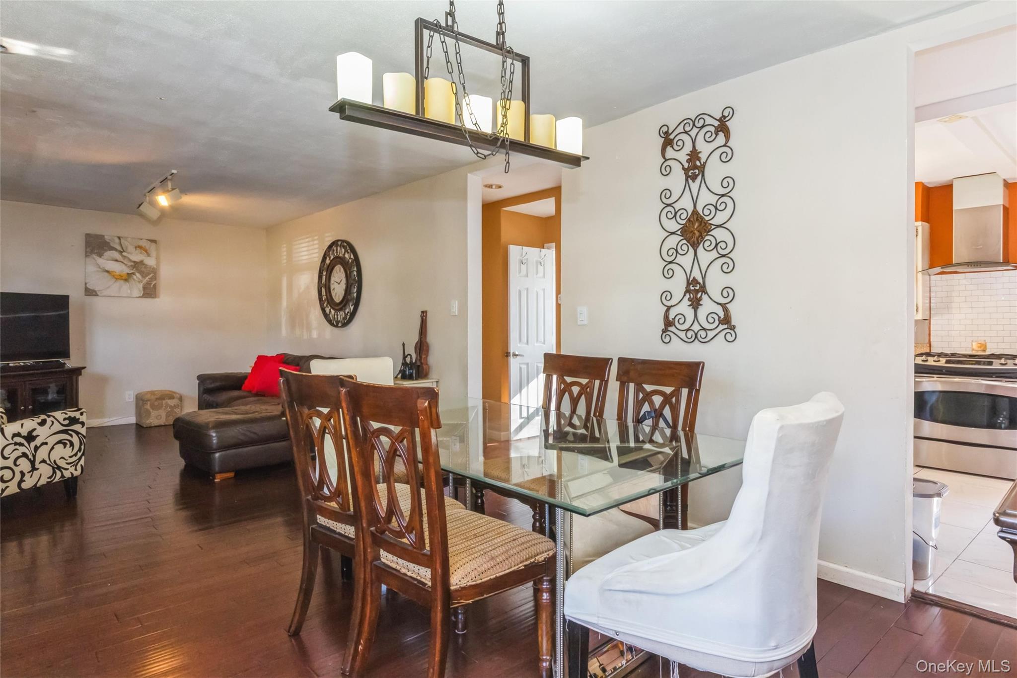 Single Family Grant Drive E Nassau County, NY 11580, MLS-1007883-9