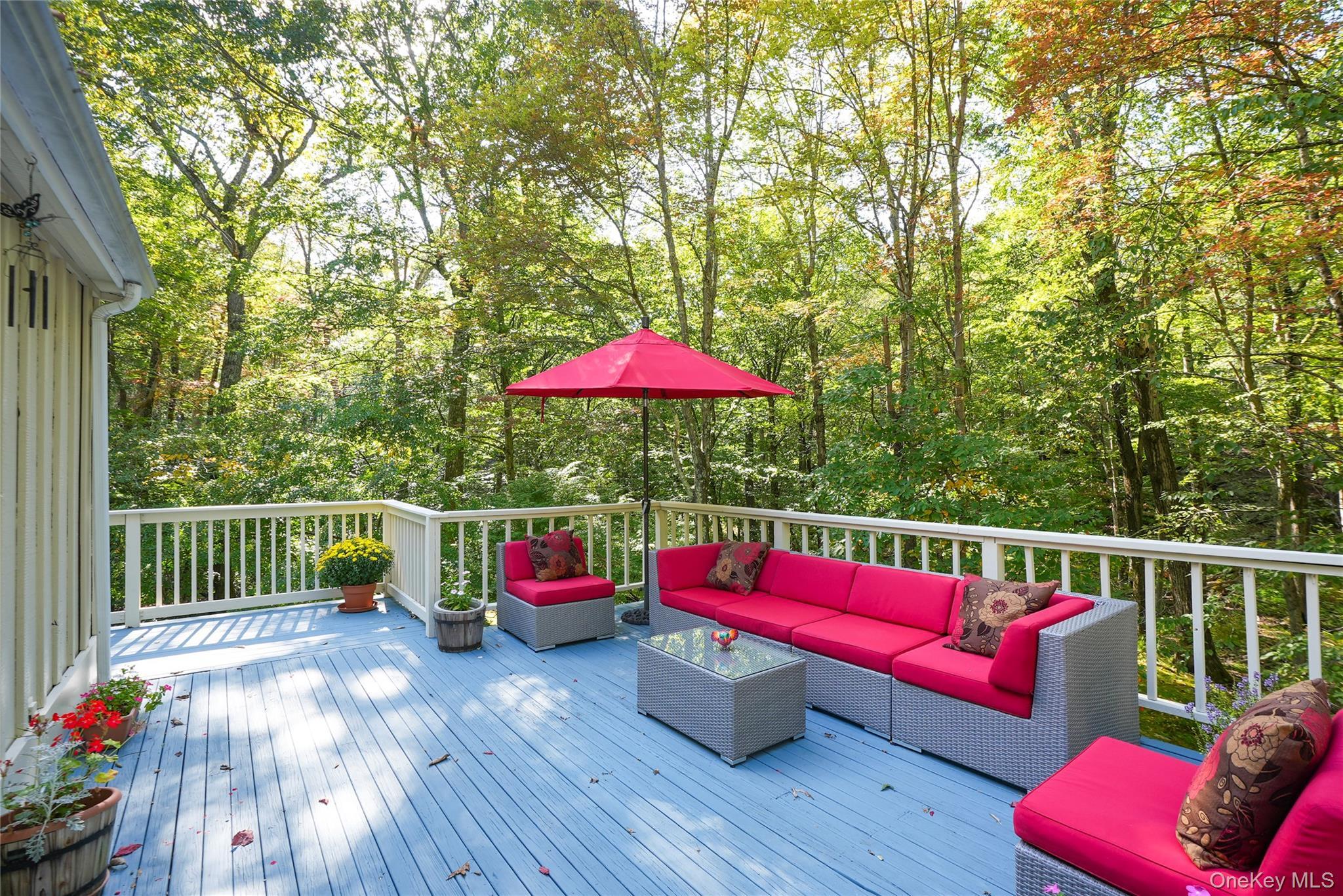 Single Family Peters Lane Westchester County, NY 10576, MLS-1007911-36