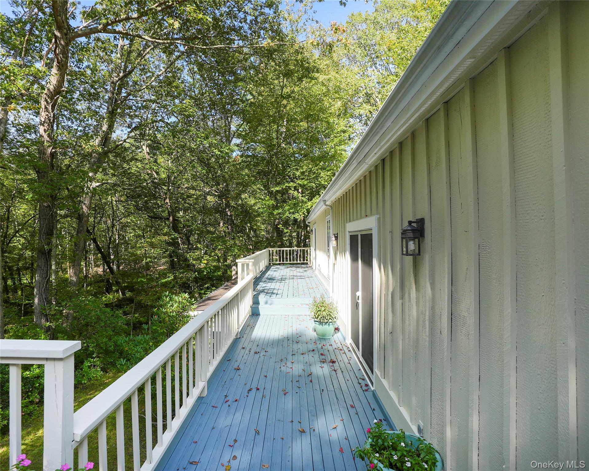 Single Family Peters Lane Westchester County, NY 10576, MLS-1007911-39