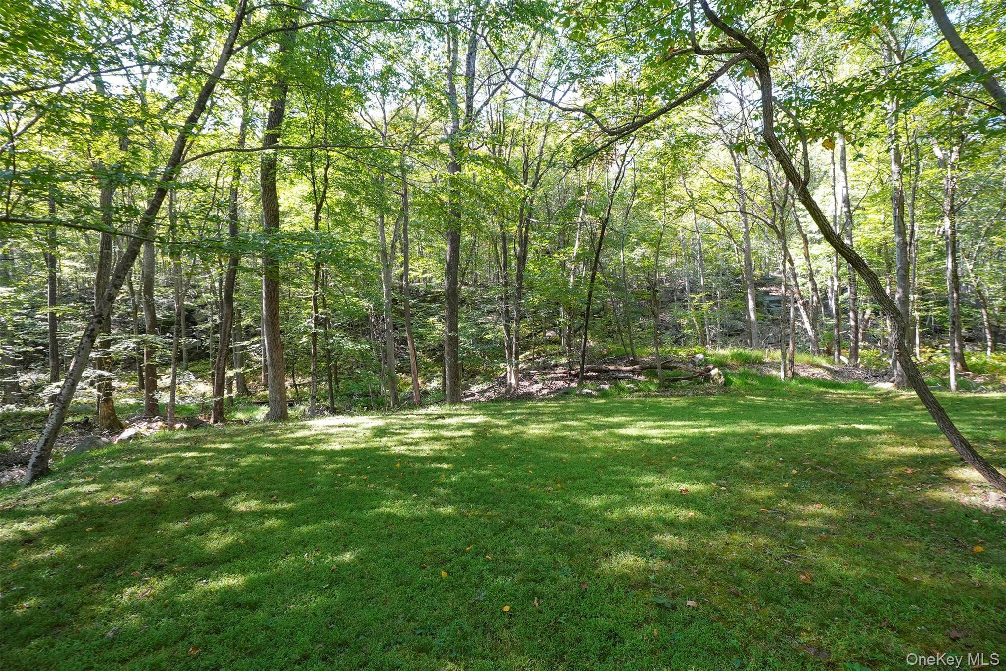 Single Family Peters Lane  Westchester County, NY 10576, MLS-1007911-43