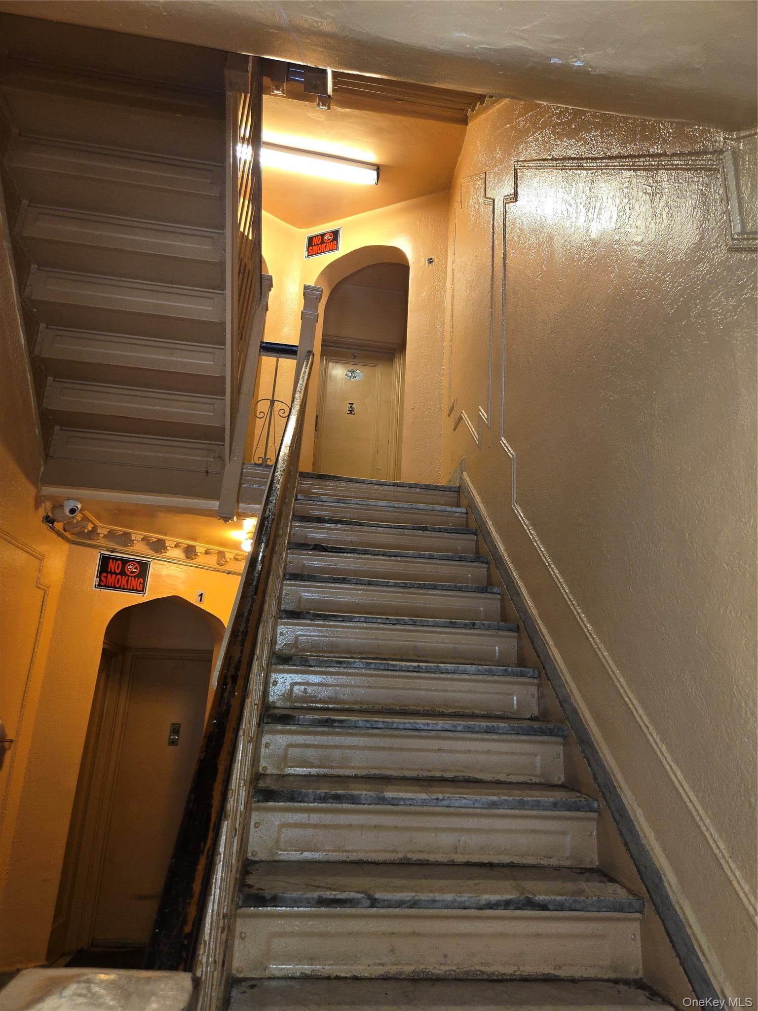 Commercial Sale Beck Street  Bronx, NY 10455, MLS-1007929-5