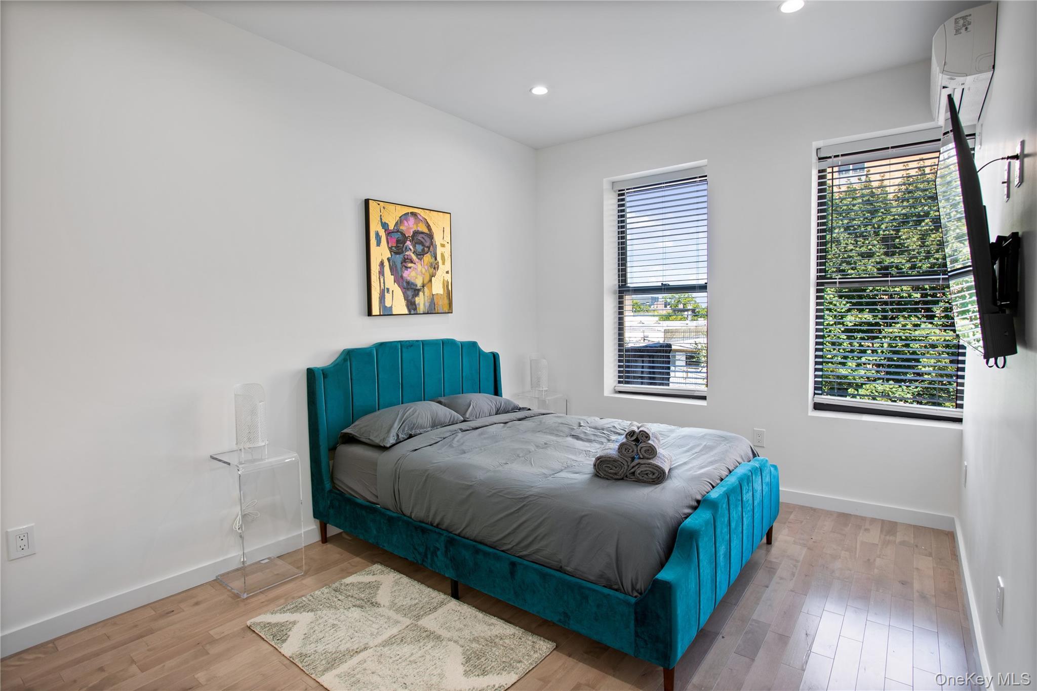 Single Family Saint Marks Avenue  Brooklyn, NY 11213, MLS-1007988-12