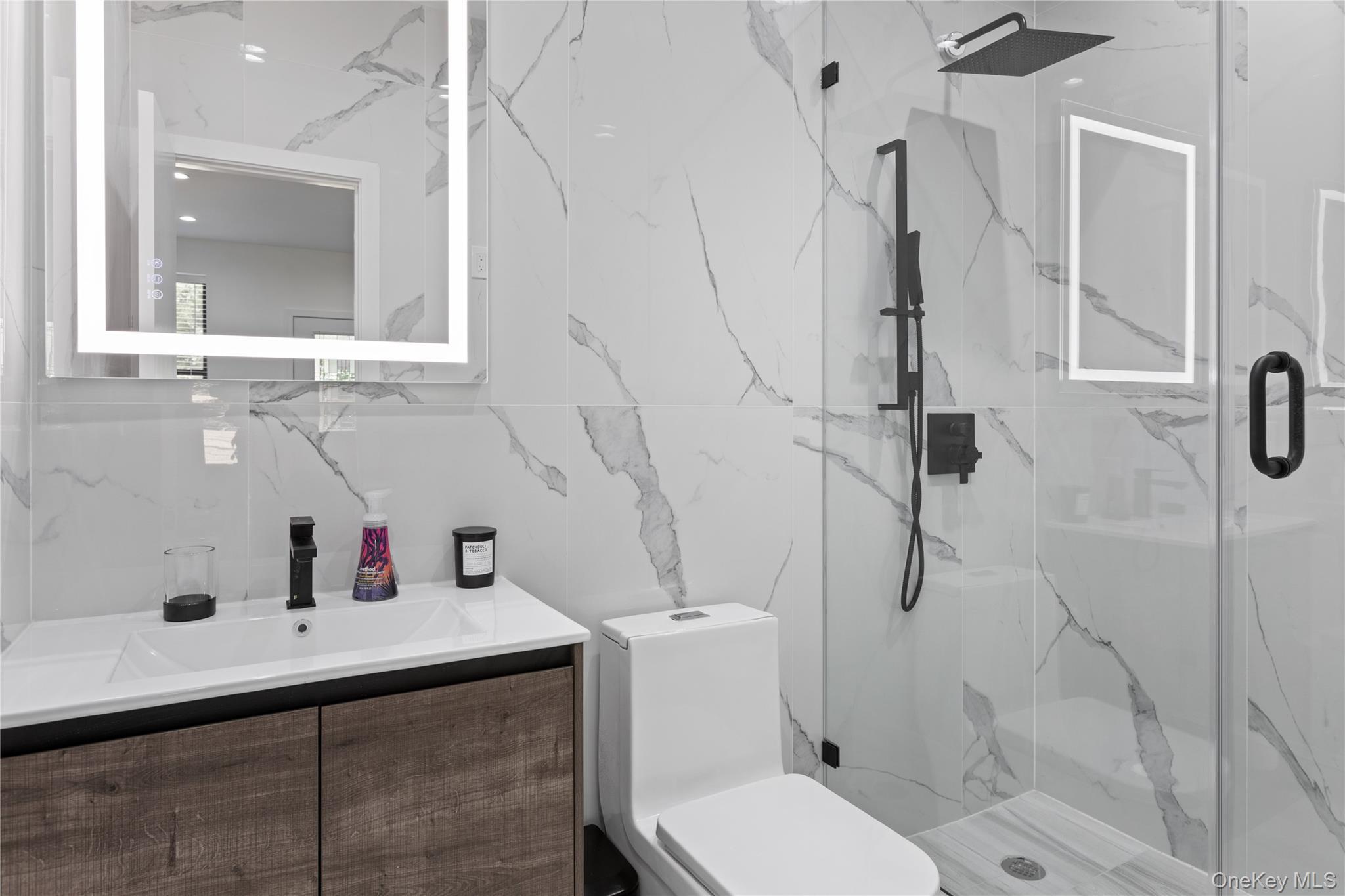 Single Family Saint Marks Avenue  Brooklyn, NY 11213, MLS-1007988-17