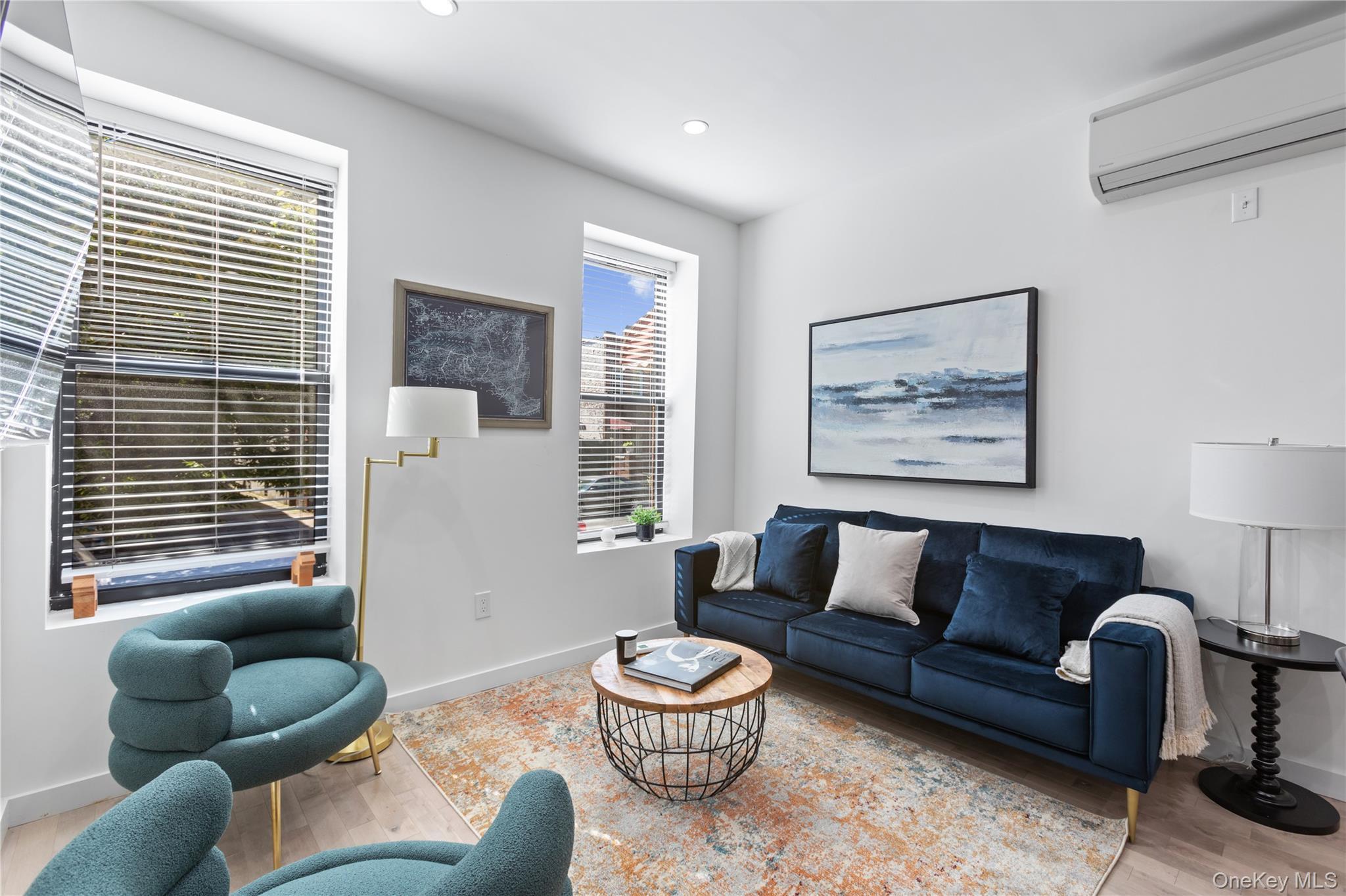 Single Family Saint Marks Avenue  Brooklyn, NY 11213, MLS-1007988-5