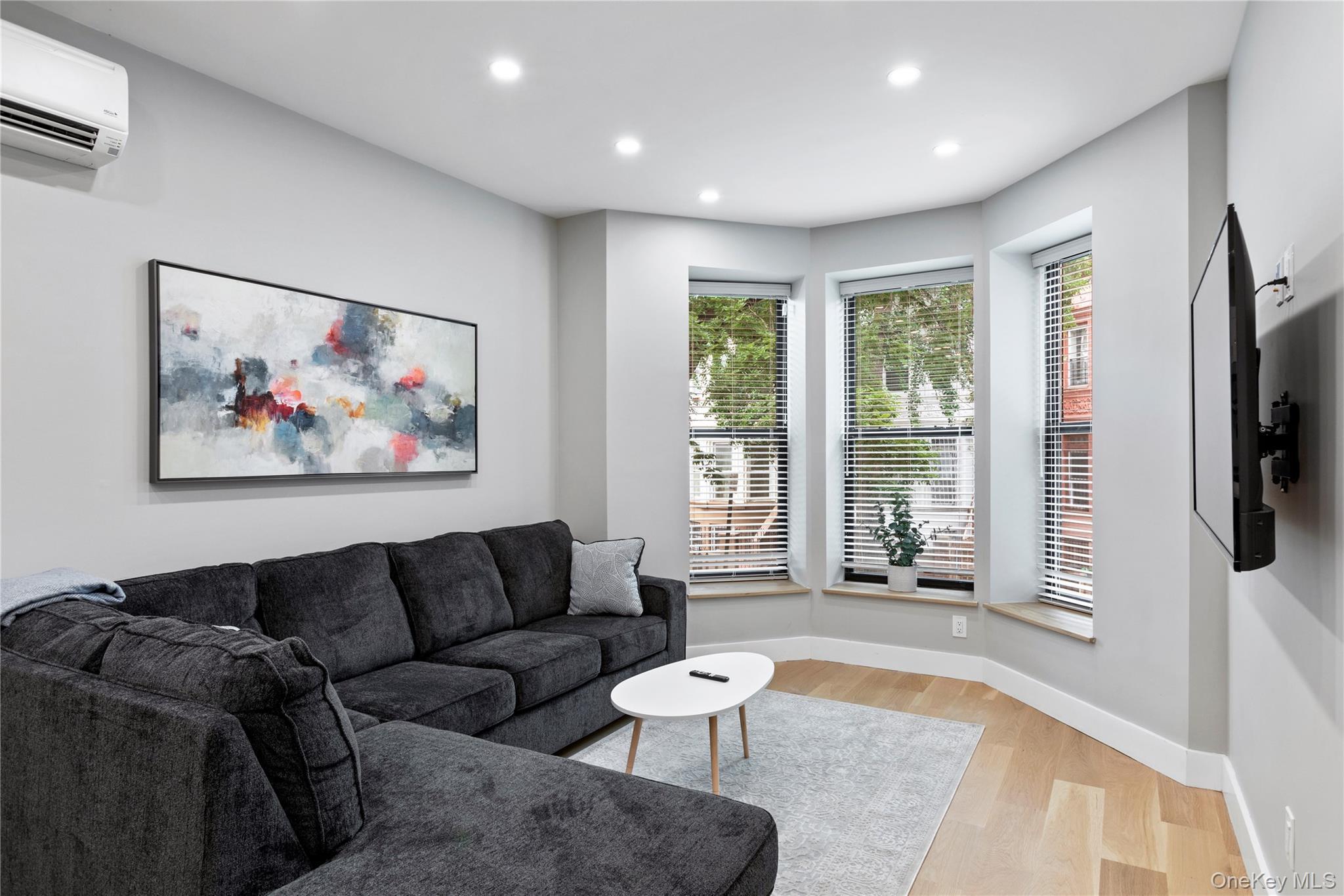 Single Family Lincoln Place Brooklyn, NY 11213, MLS-1007998-10