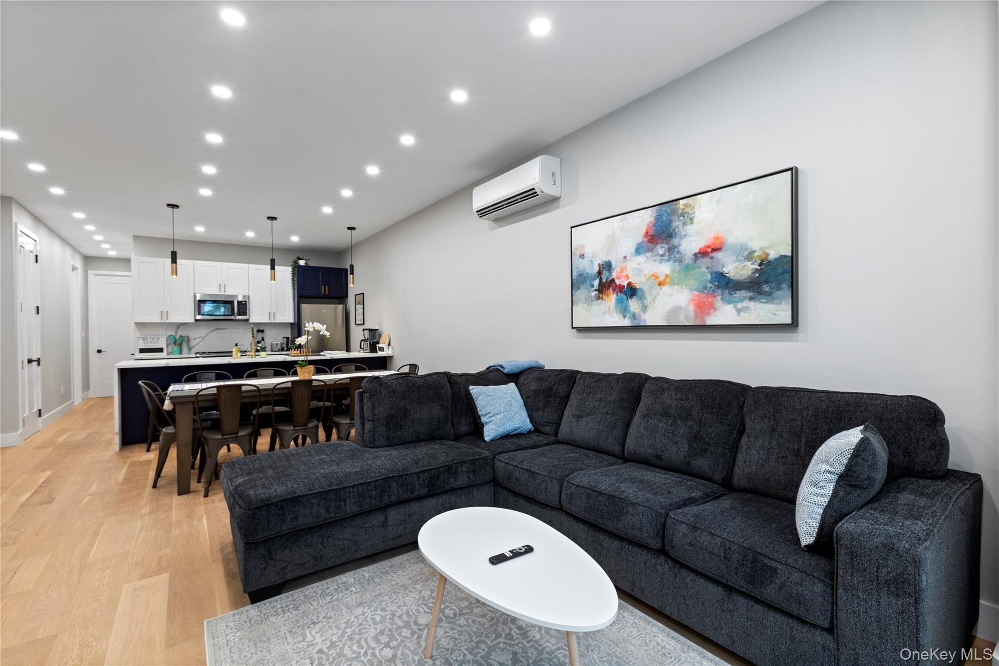 Single Family Lincoln Place Brooklyn, NY 11213, MLS-1007998-11