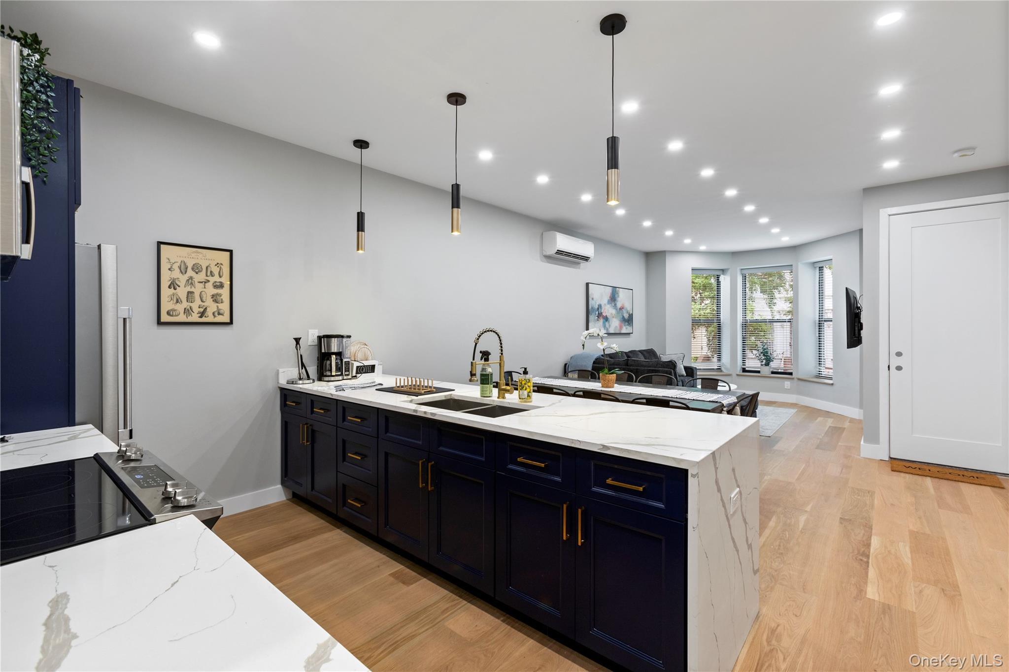 Single Family Lincoln Place Brooklyn, NY 11213, MLS-1007998-13