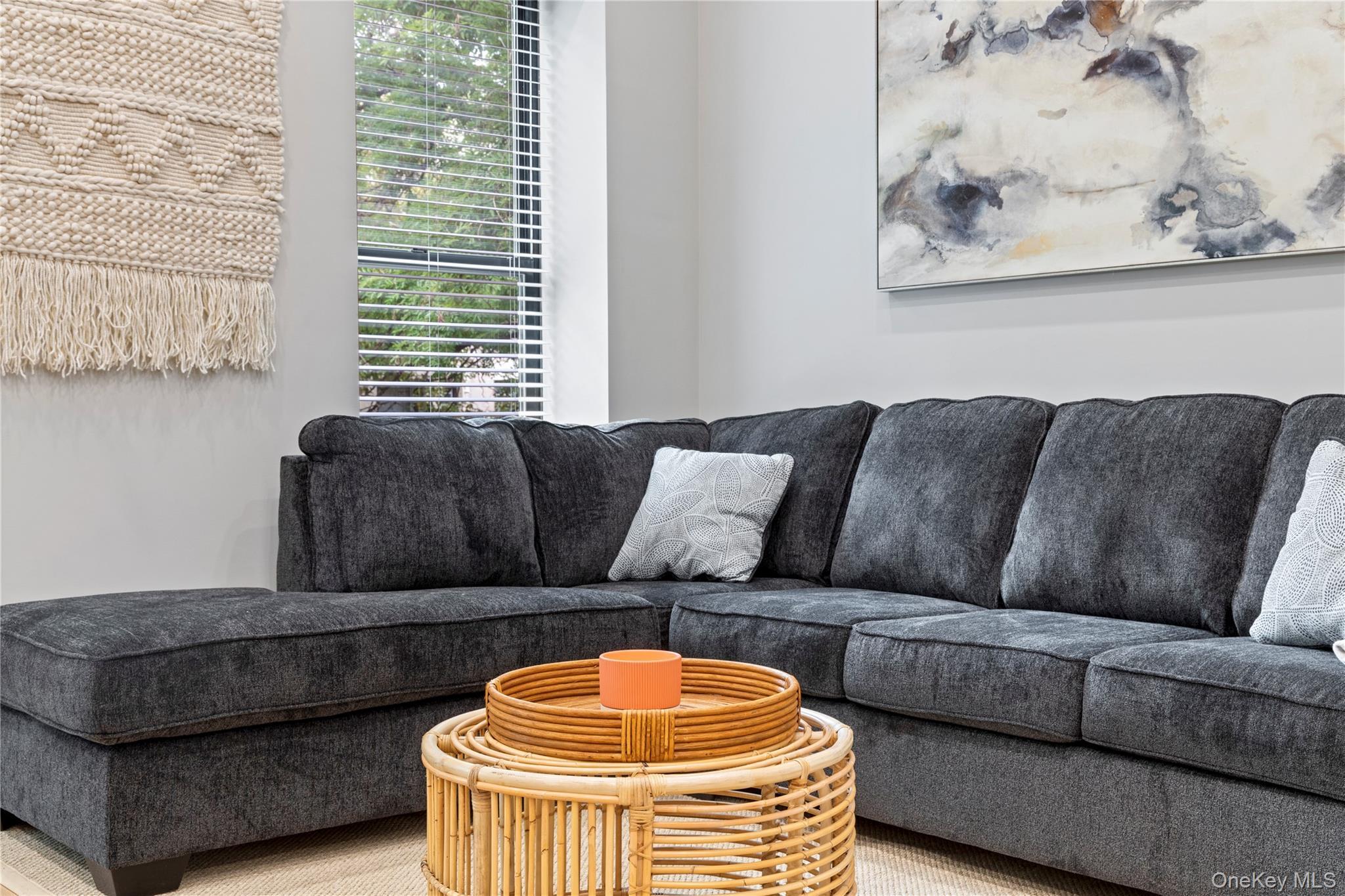 Single Family Lincoln Place Brooklyn, NY 11213, MLS-1007998-3