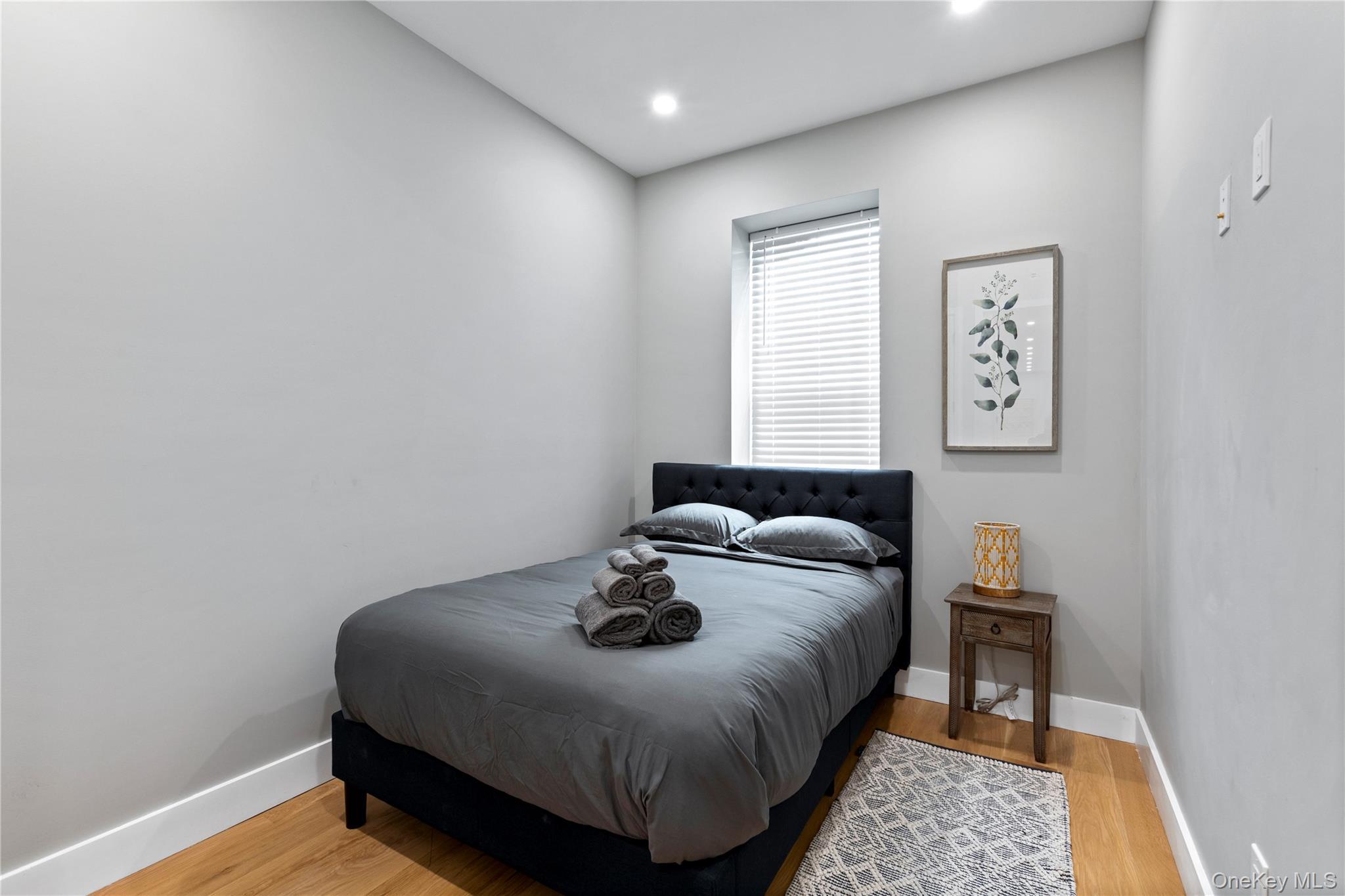Single Family Lincoln Place Brooklyn, NY 11213, MLS-1007998-4
