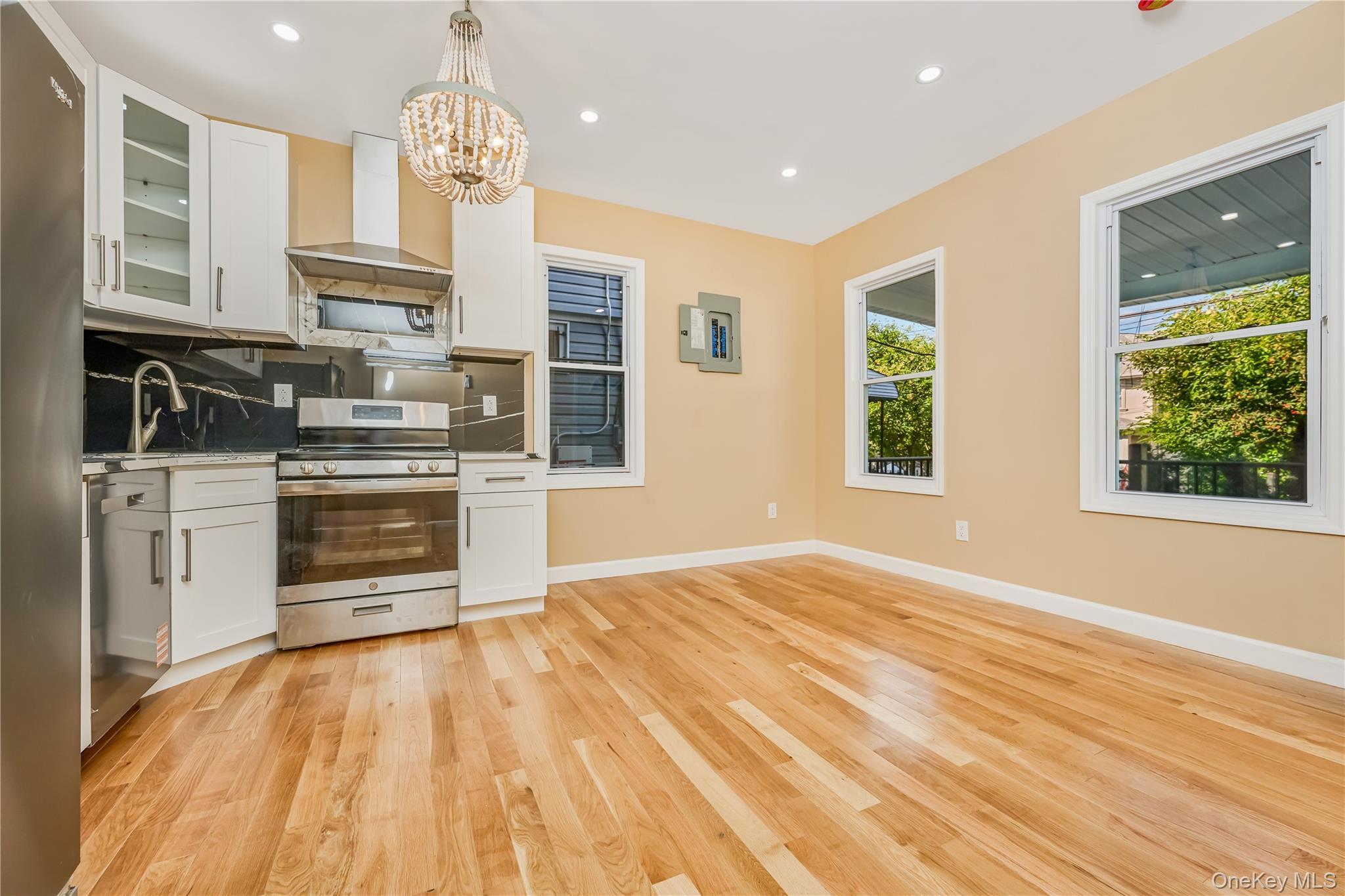 Single Family 135th Street Queens, NY 11419, MLS-1008016-10