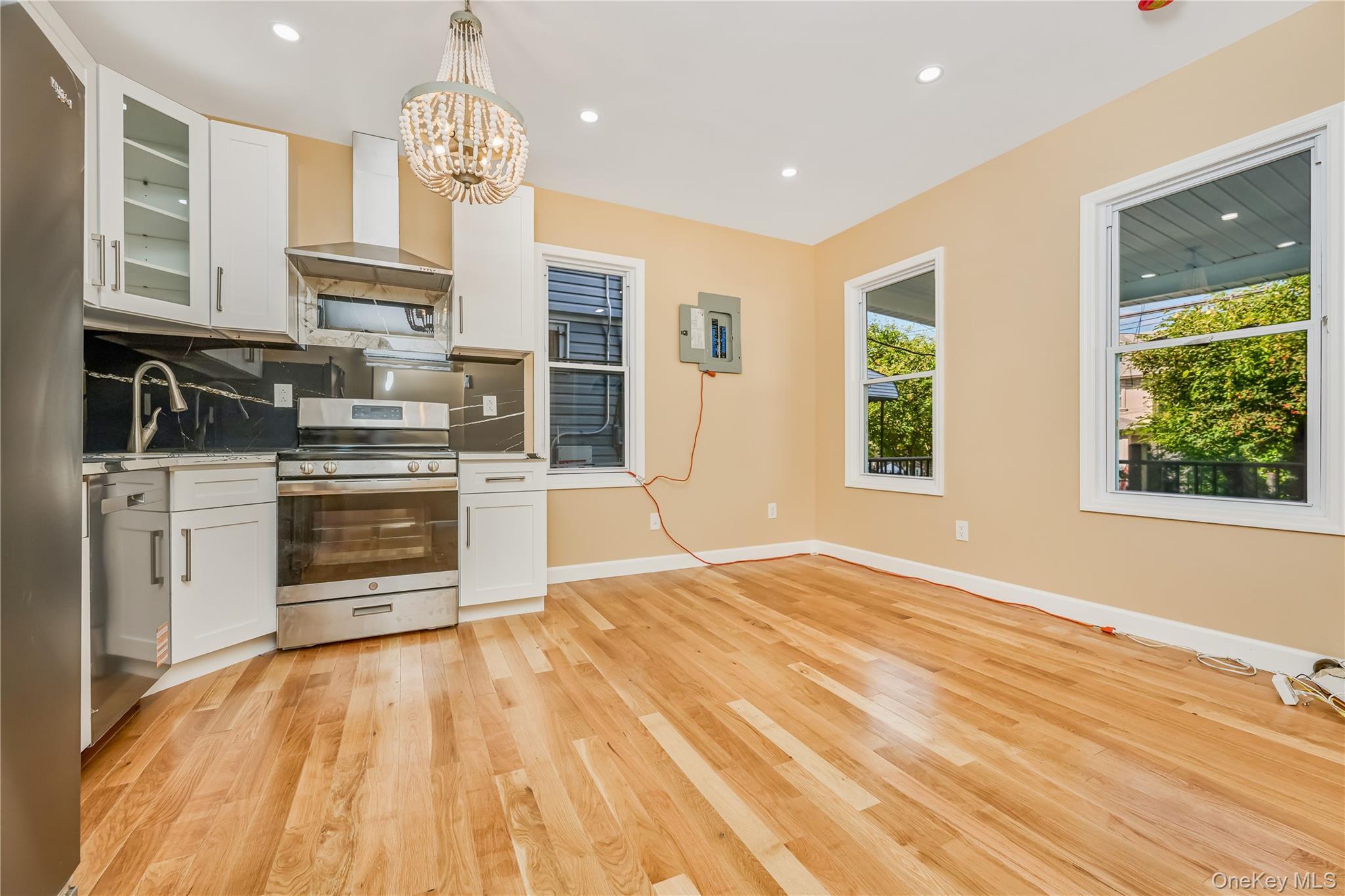 Single Family 135th Street Queens, NY 11419, MLS-1008016-11