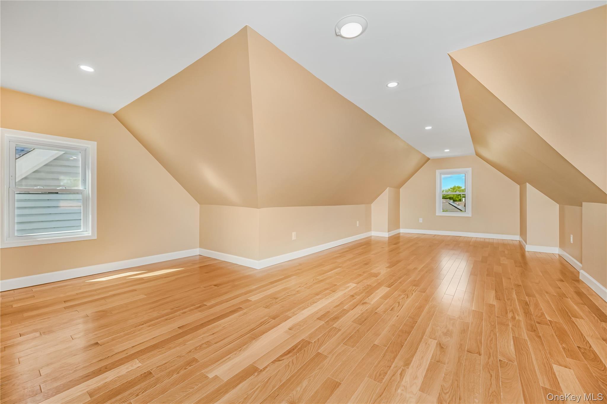 Single Family 135th Street Queens, NY 11419, MLS-1008016-30