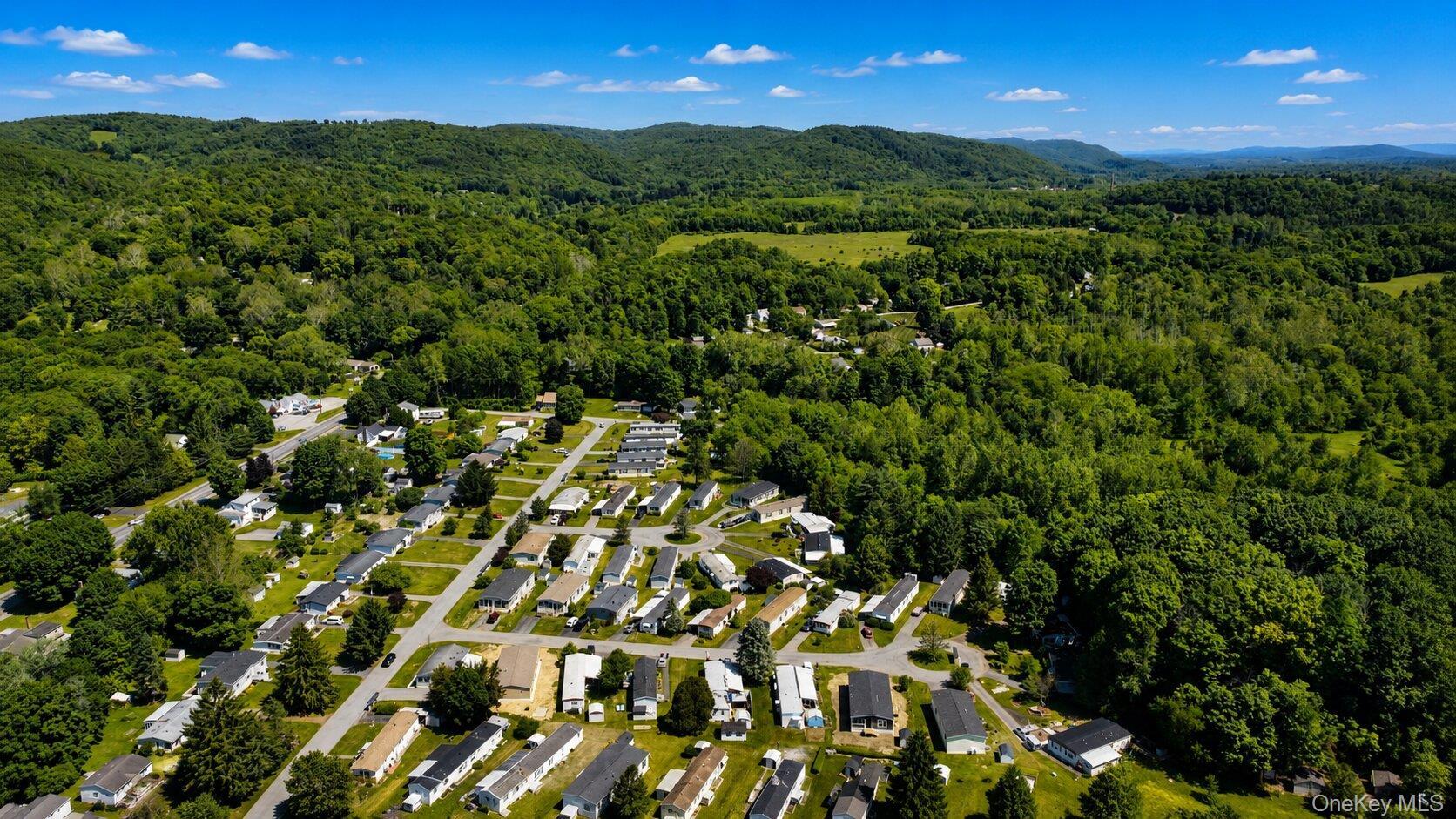 Single Family Tally-ho Drive Dutchess County, NY 12522, MLS-1008053-43