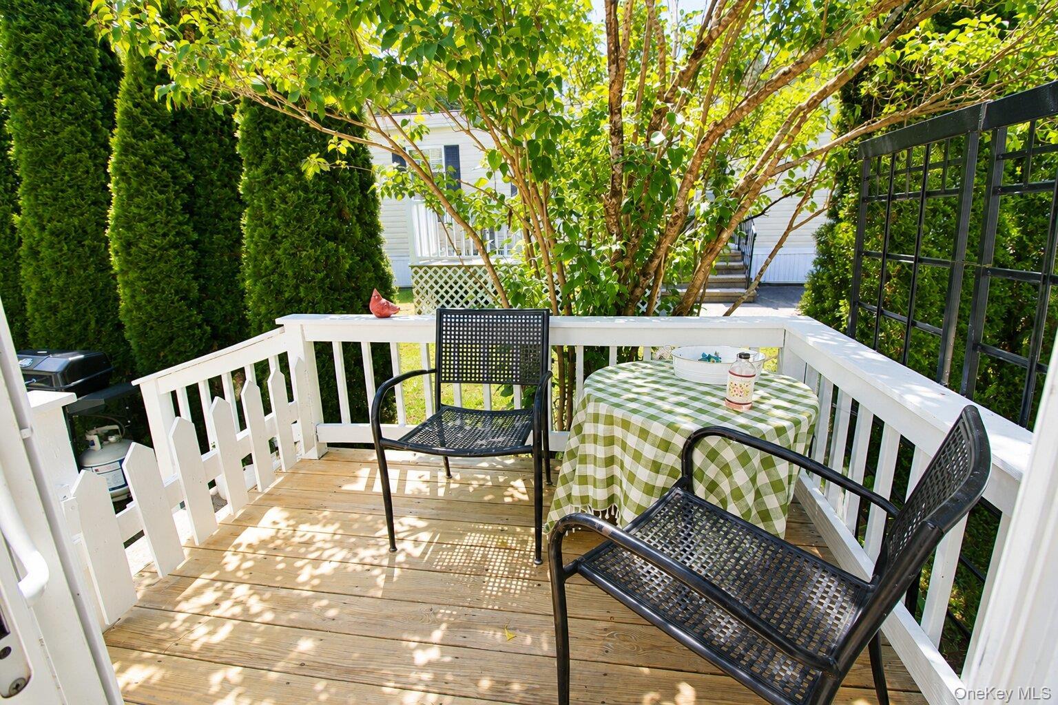 Single Family Tally-ho Drive Dutchess County, NY 12522, MLS-1008053-5