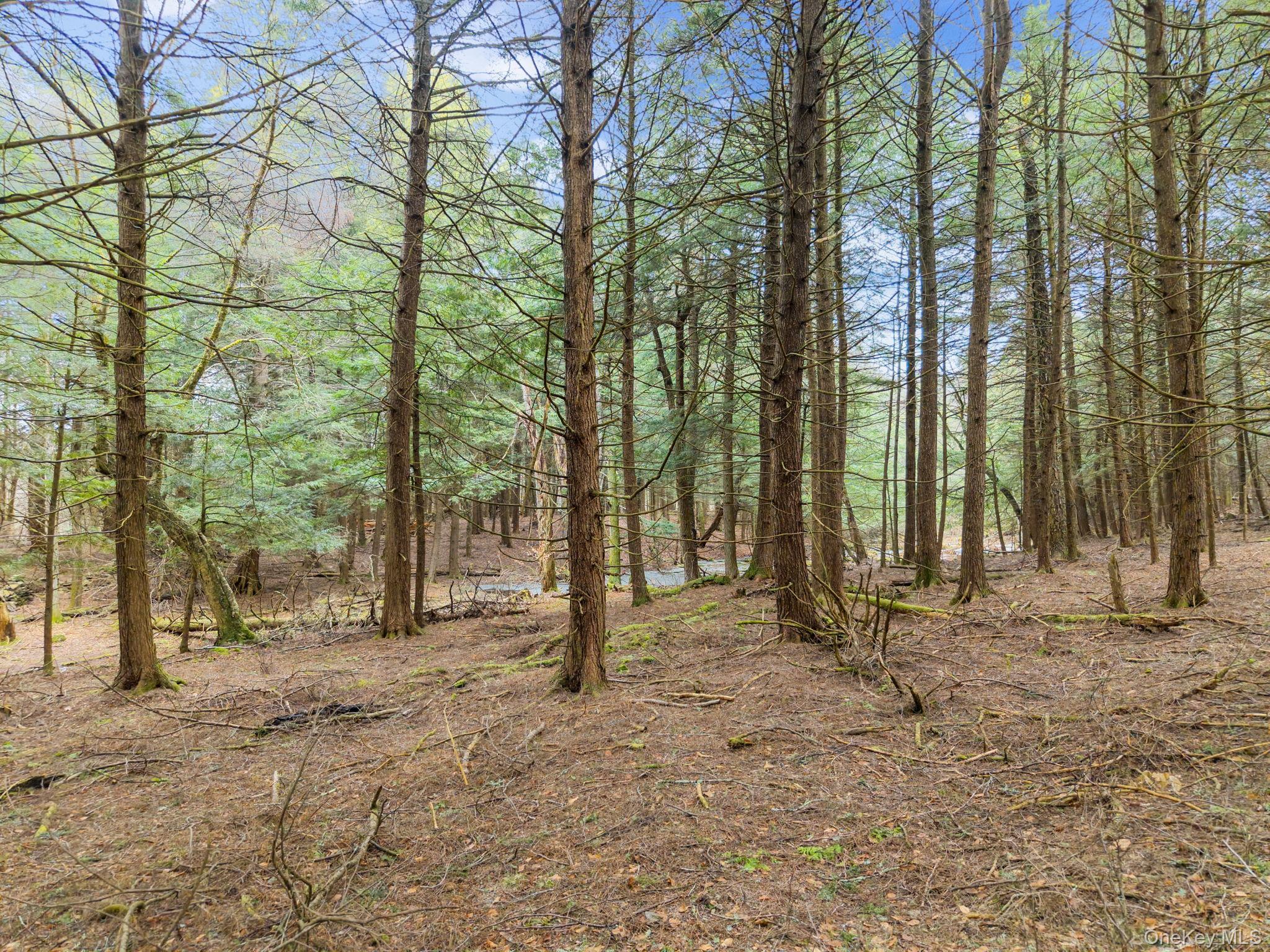 Single Family Blakesley  Out Of Area, NY 12076, MLS-1008108-29