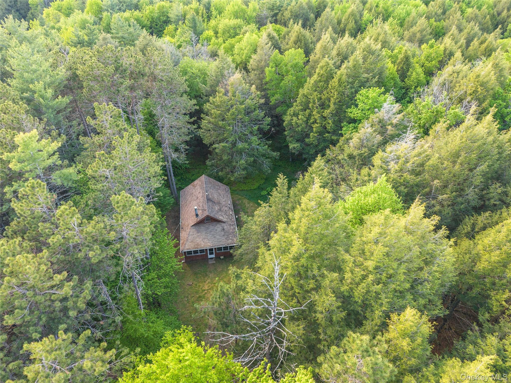 Single Family Blakesley  Out Of Area, NY 12076, MLS-1008108-3