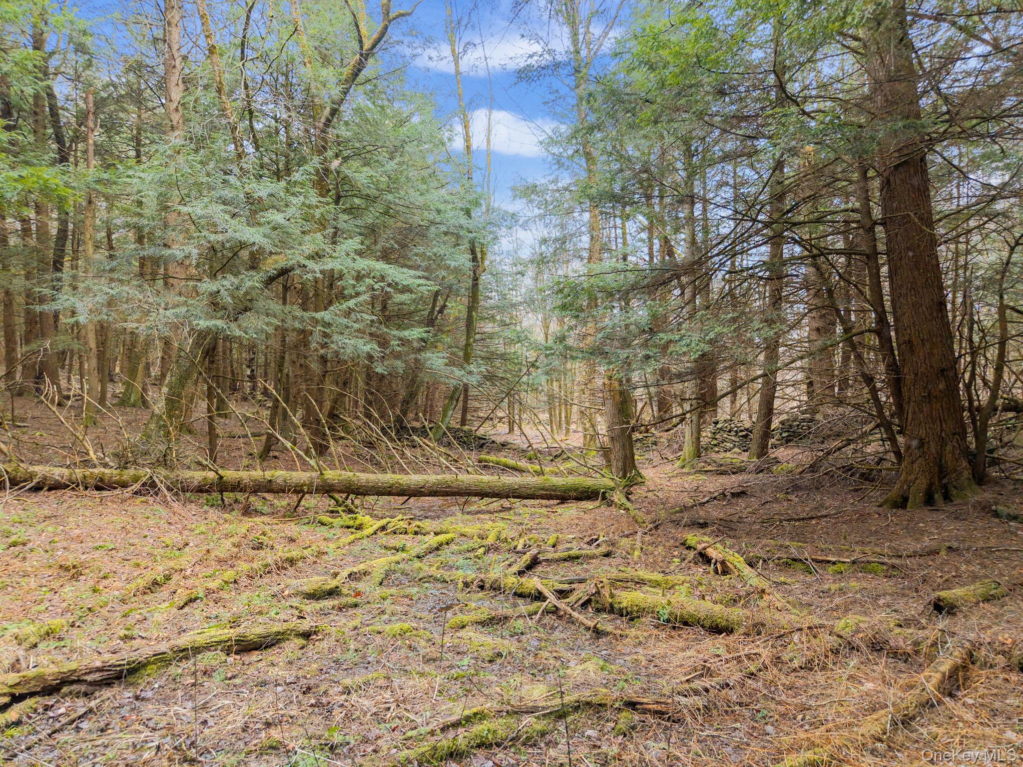Single Family Blakesley  Out Of Area, NY 12076, MLS-1008108-30