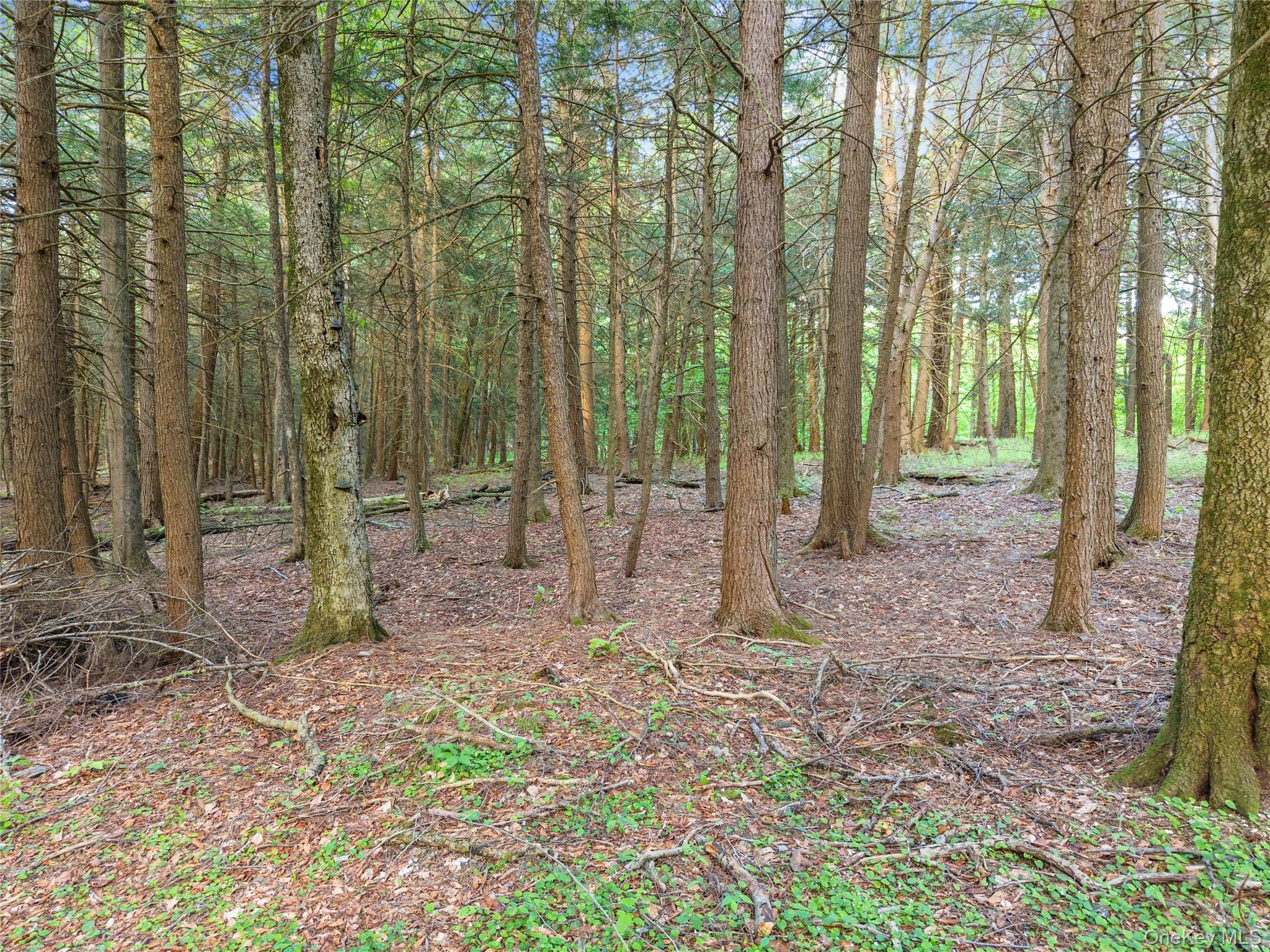 Single Family Blakesley  Out Of Area, NY 12076, MLS-1008108-33