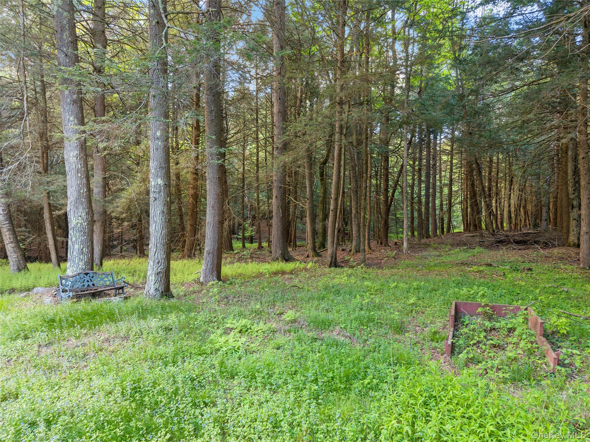 Single Family Blakesley  Out Of Area, NY 12076, MLS-1008108-34