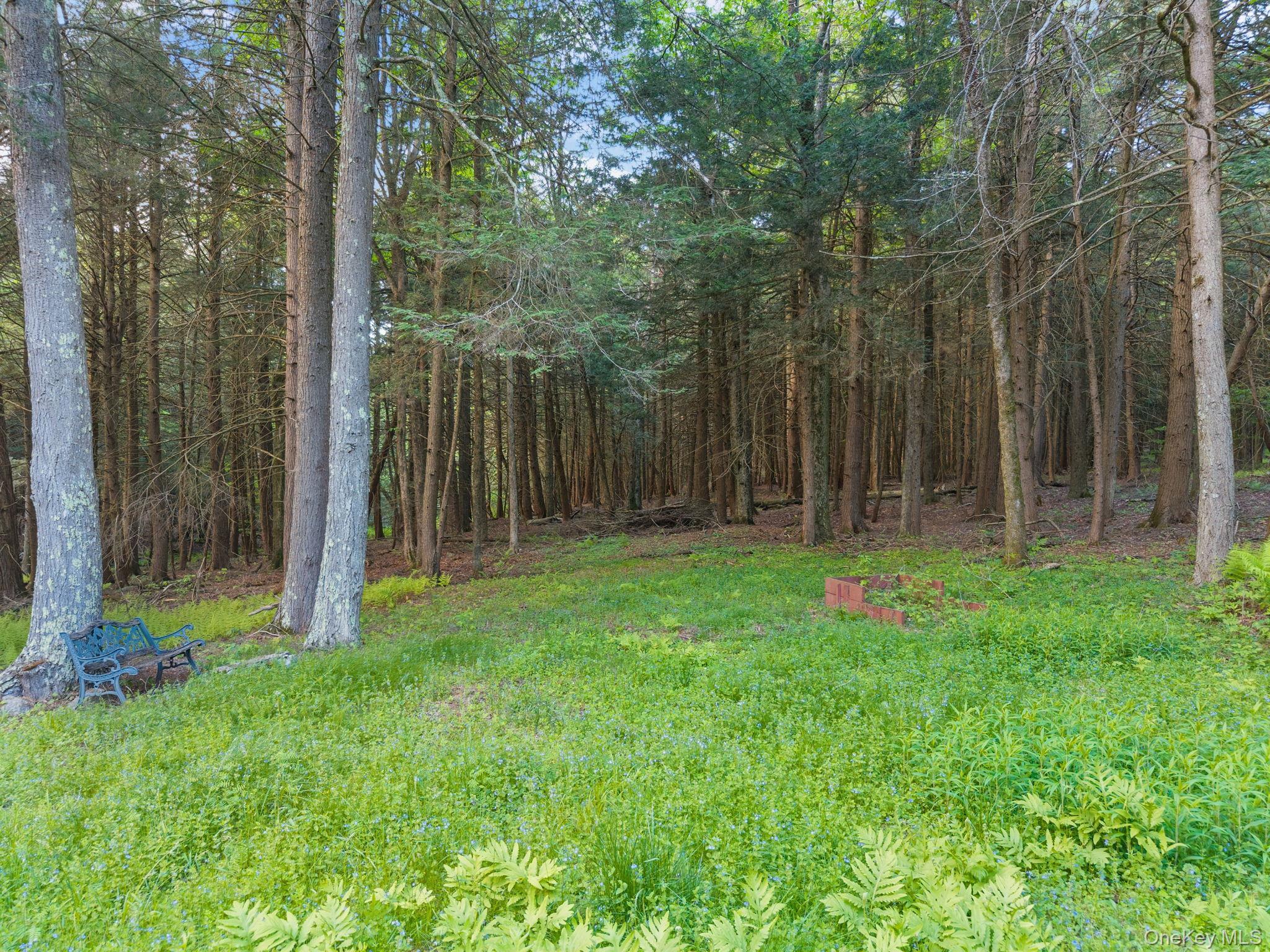 Single Family Blakesley  Out Of Area, NY 12076, MLS-1008108-35