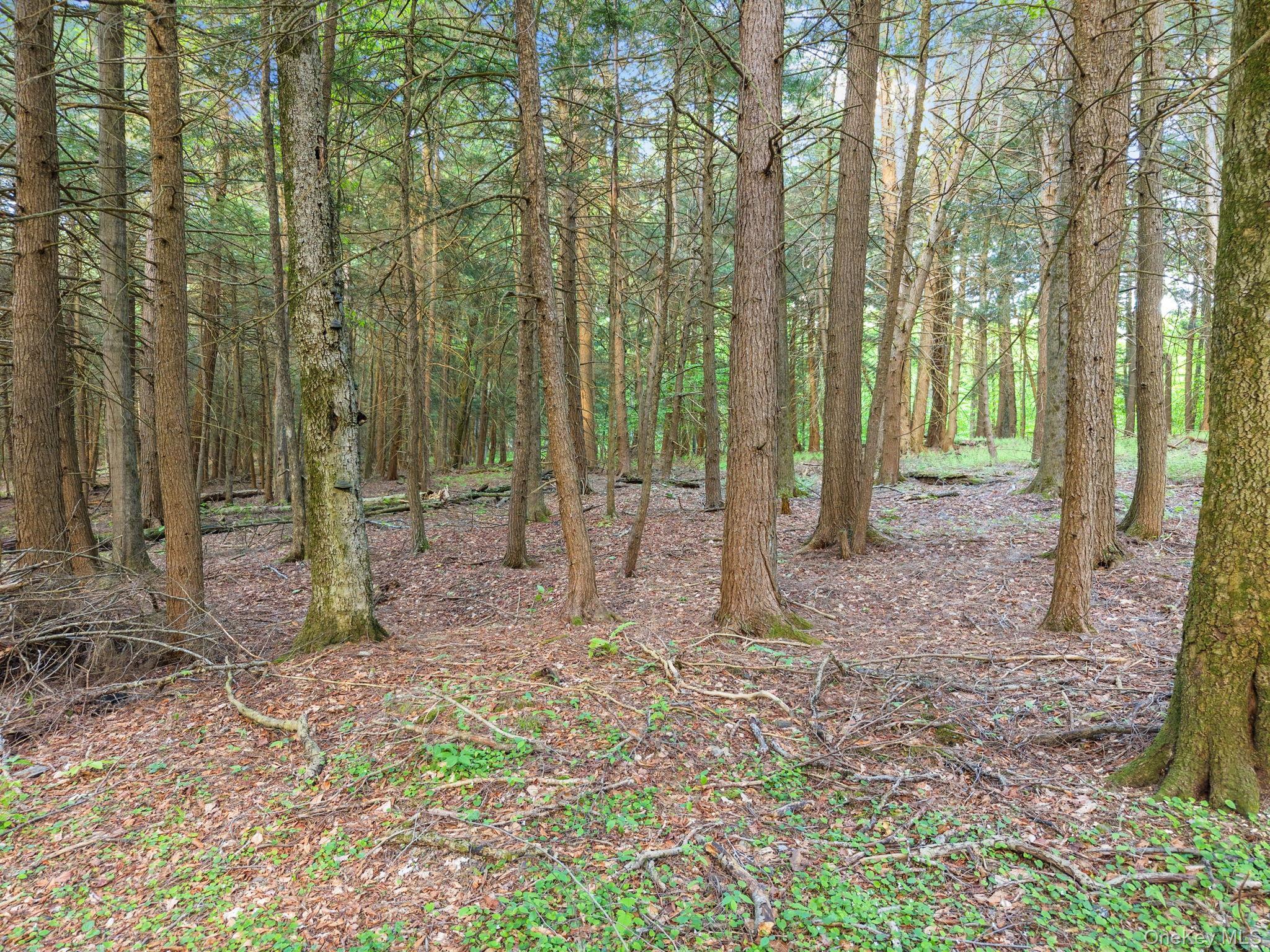 Single Family Blakesley  Out Of Area, NY 12076, MLS-1008108-37