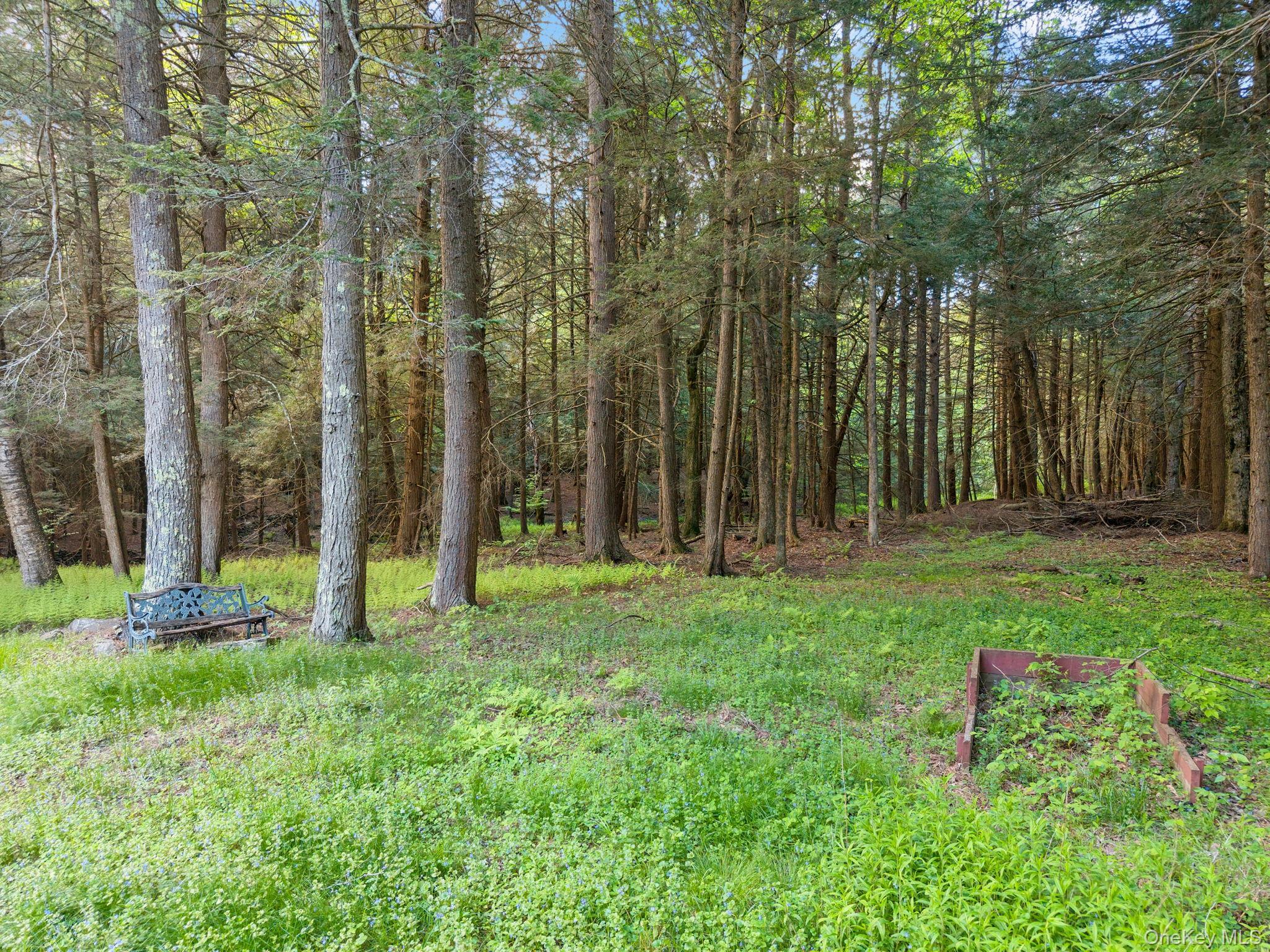 Single Family Blakesley  Out Of Area, NY 12076, MLS-1008108-39
