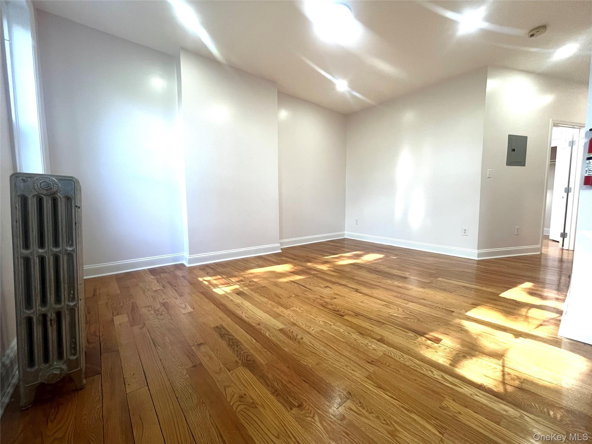 Apartment Bradford  Brooklyn, NY 11207, MLS-1008155-10