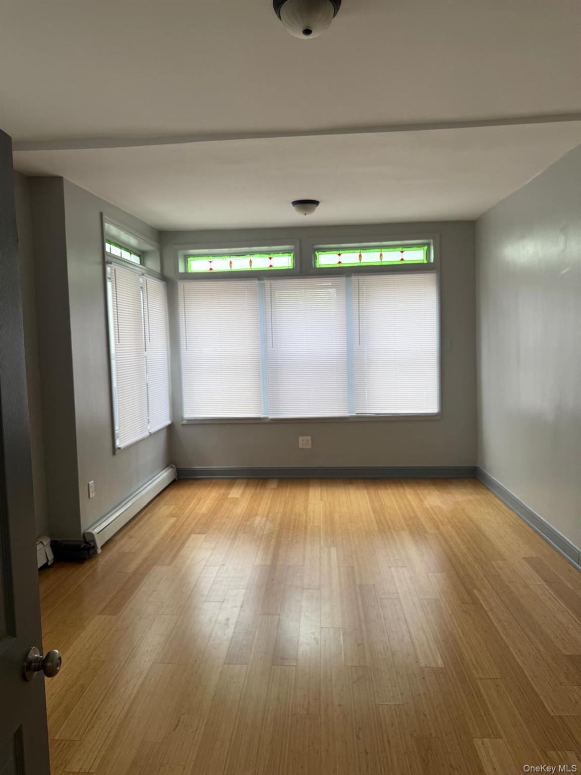 Single Family Atkins  Brooklyn, NY 11208, MLS-1008185-8