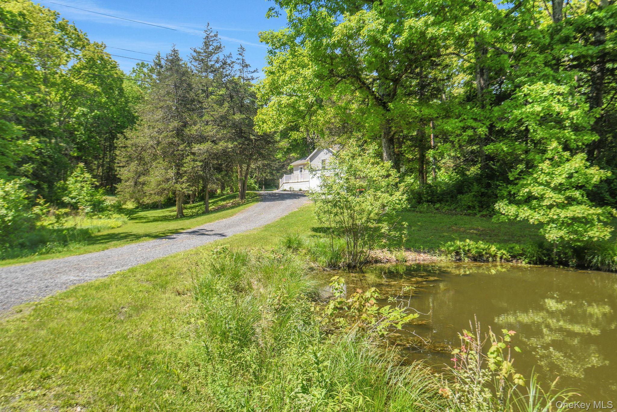 Single Family Norton Road  Dutchess County, NY 12571, MLS-1008213-30