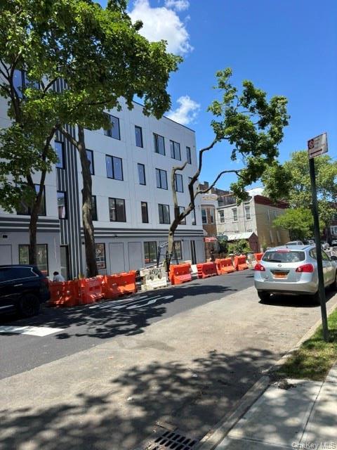 Single Family Midwood  Brooklyn, NY 11203, MLS-1008245-4