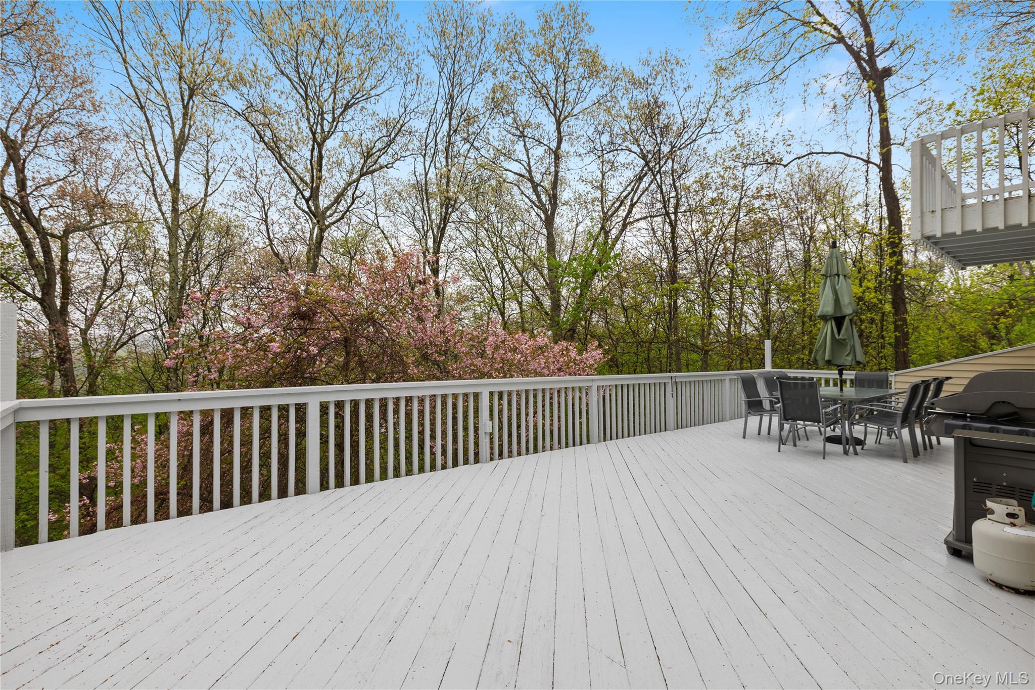 Single Family Westerly Lane Westchester County, NY 10594, MLS-1008267-22