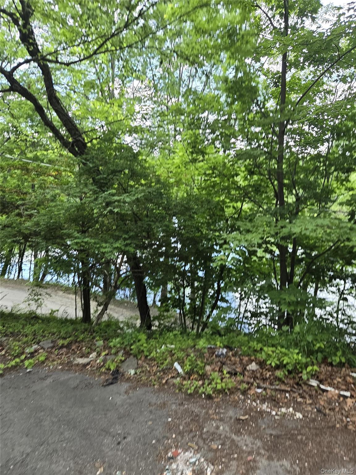 Single Family S Shore Drive Orange County, NY 10940, MLS-1008293-4
