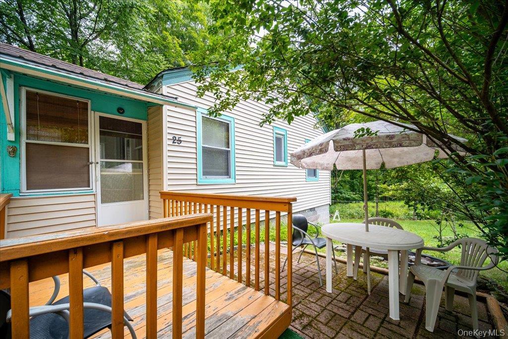 Single Family Nature Sullivan County, NY 12751, MLS-1008296-16