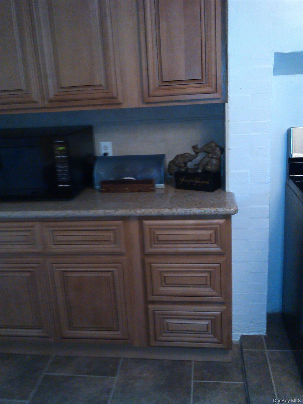 Single Family Covert Brooklyn, NY 11207, MLS-1008355-12