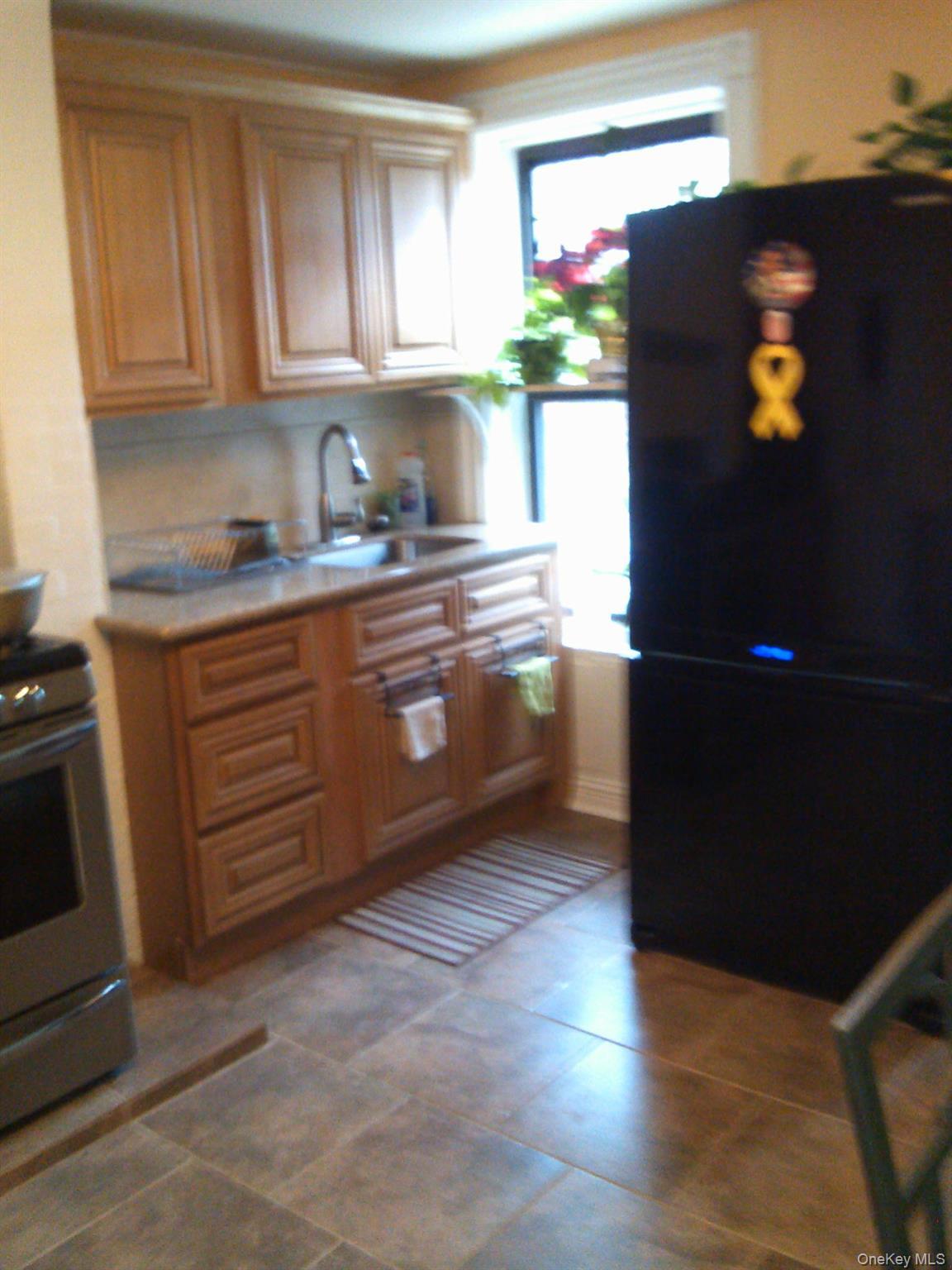 Single Family Covert Brooklyn, NY 11207, MLS-1008355-13
