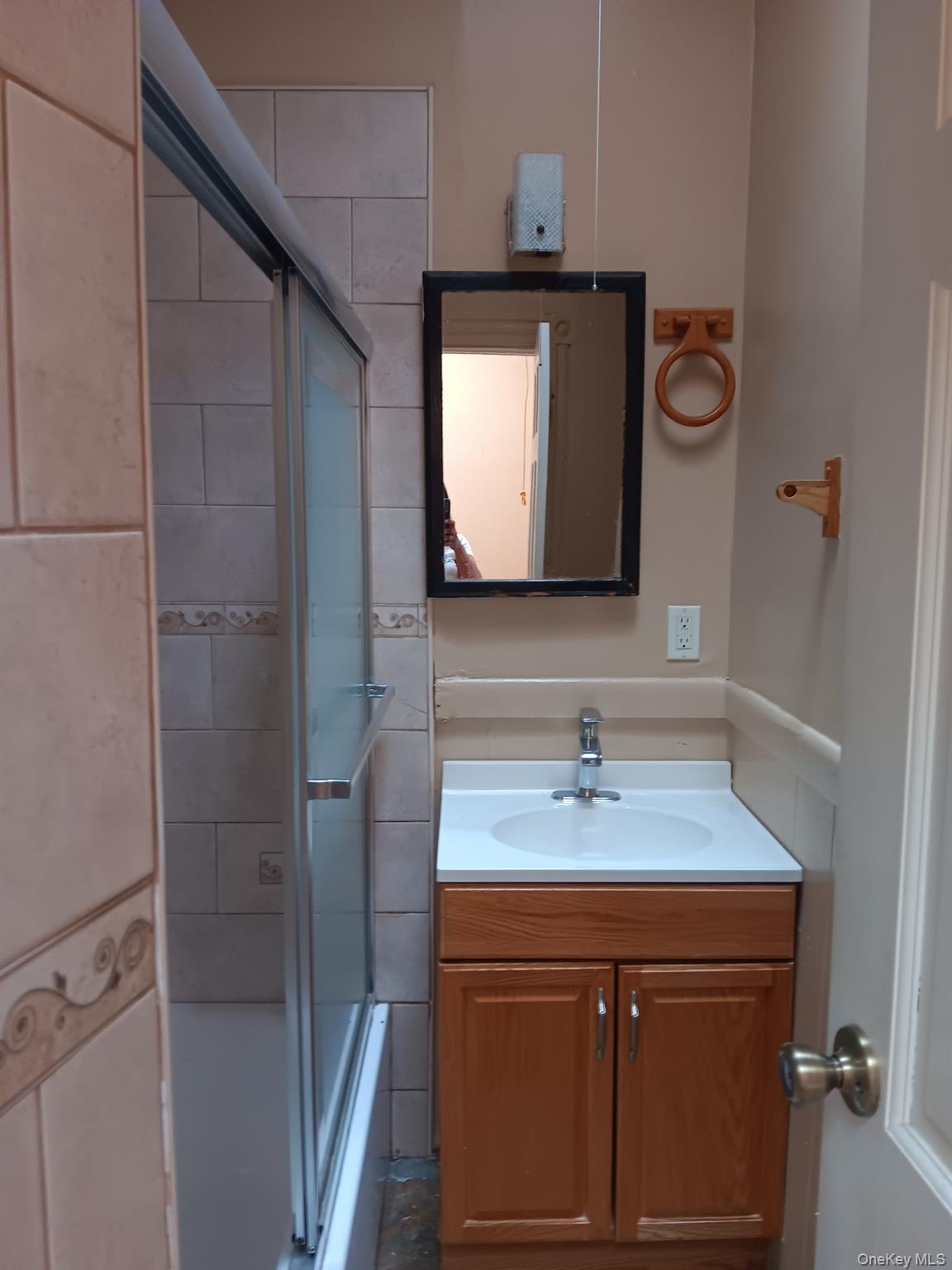 Single Family Covert Brooklyn, NY 11207, MLS-1008355-25