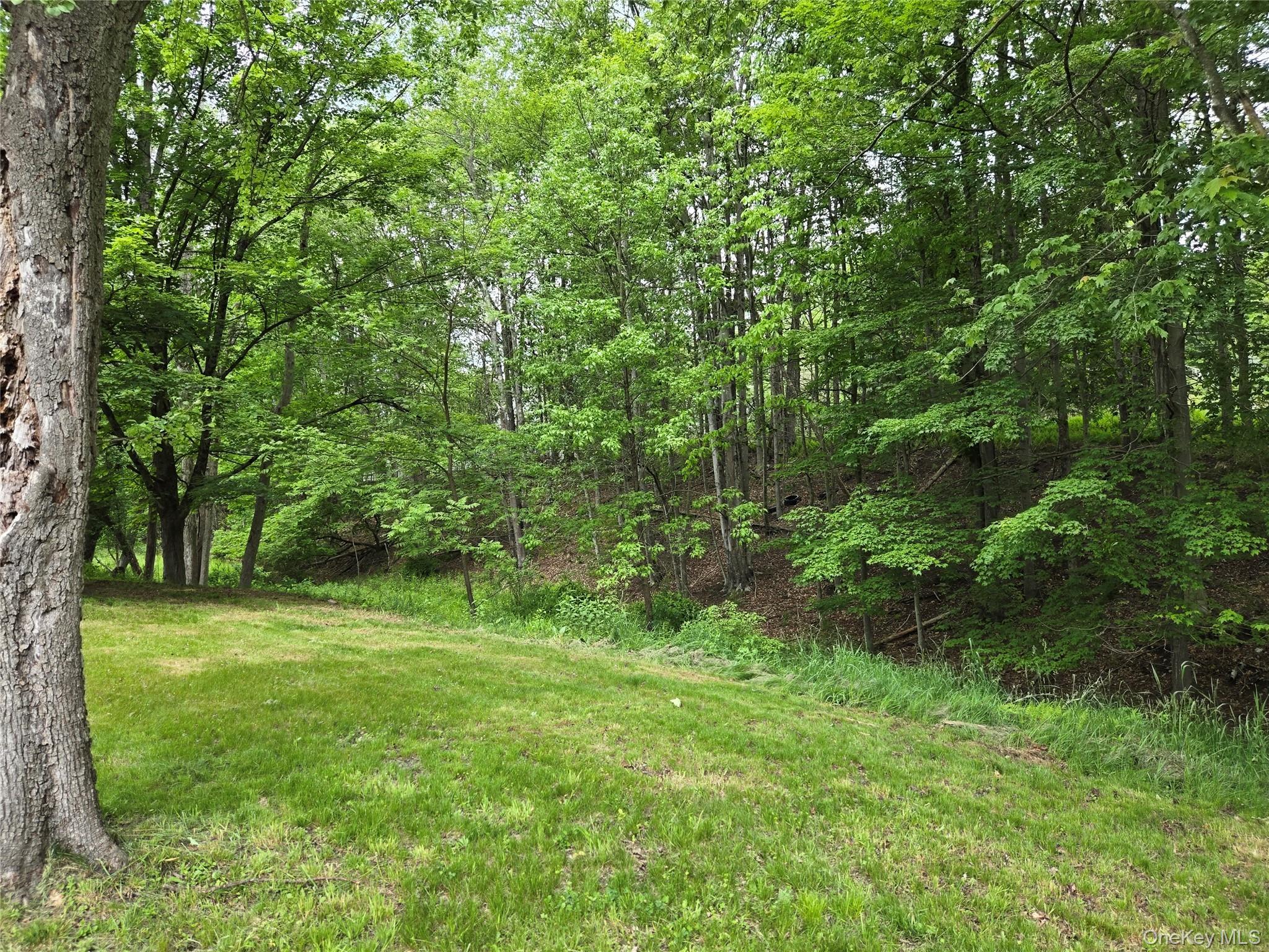 Single Family Spring Glen  Sullivan County, NY 12763, MLS-1008357-3